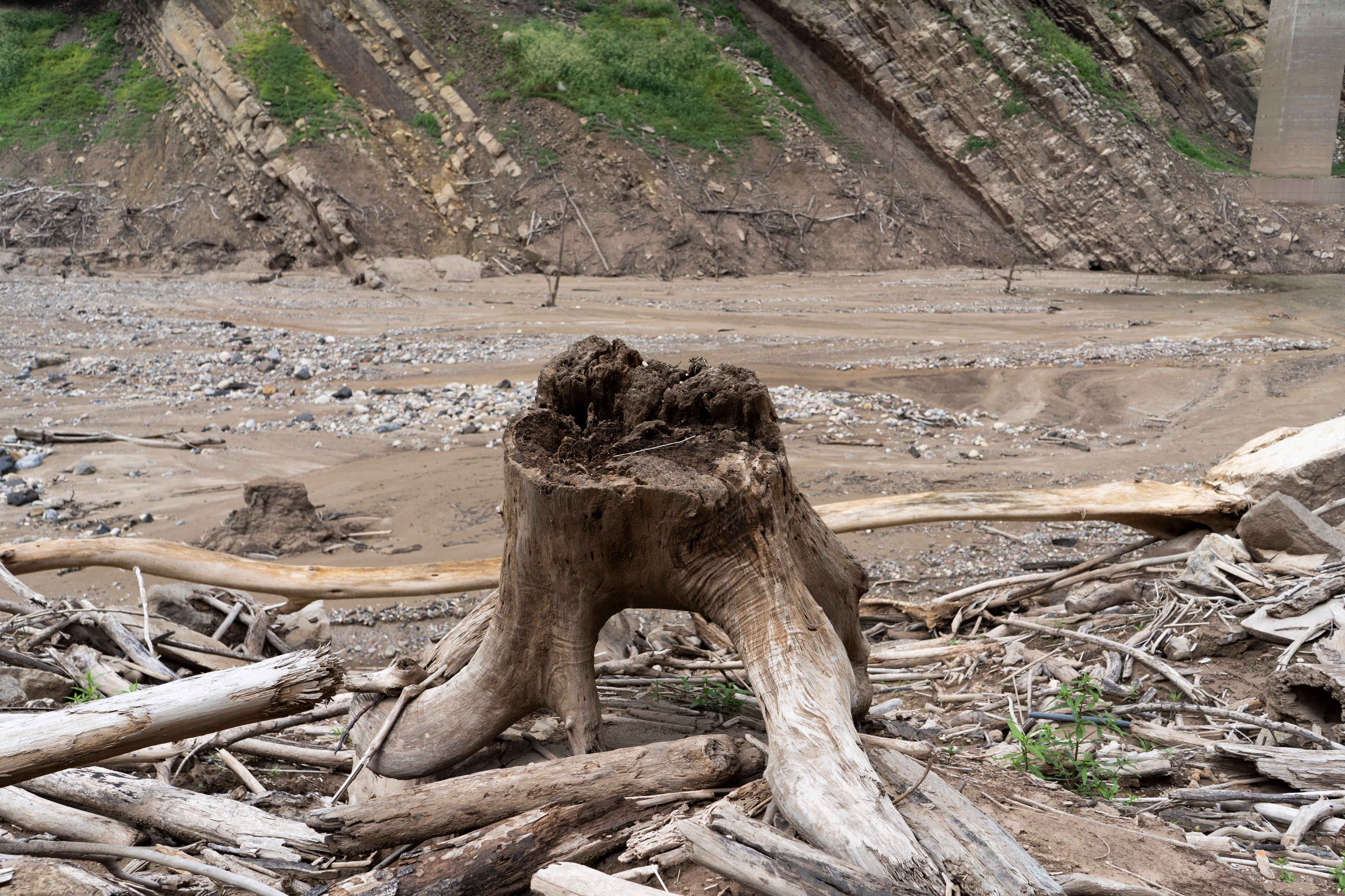 Super El Niño chega e ameaça abastecimento de alimentos e energia no Brasil e na região Super El Niño chega e ameaça abastecimento de alimentos e energia no Brasil e na região