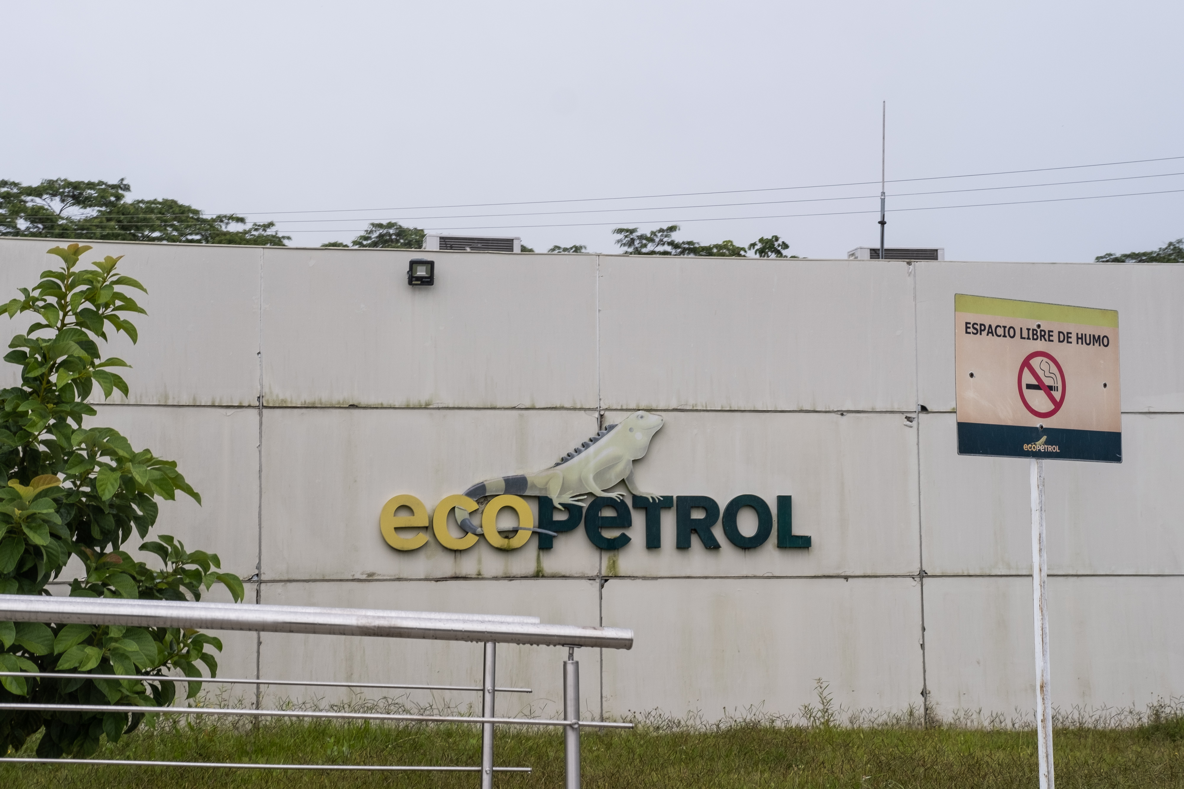 ¿Por qué sube la acción de Ecopetrol? El impacto de la caída de Maduro en la BVC 