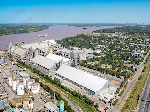 Impulsada por la baja de retenciones, Molinos Agro encabeza inversión de US$500 millones para procesar soja