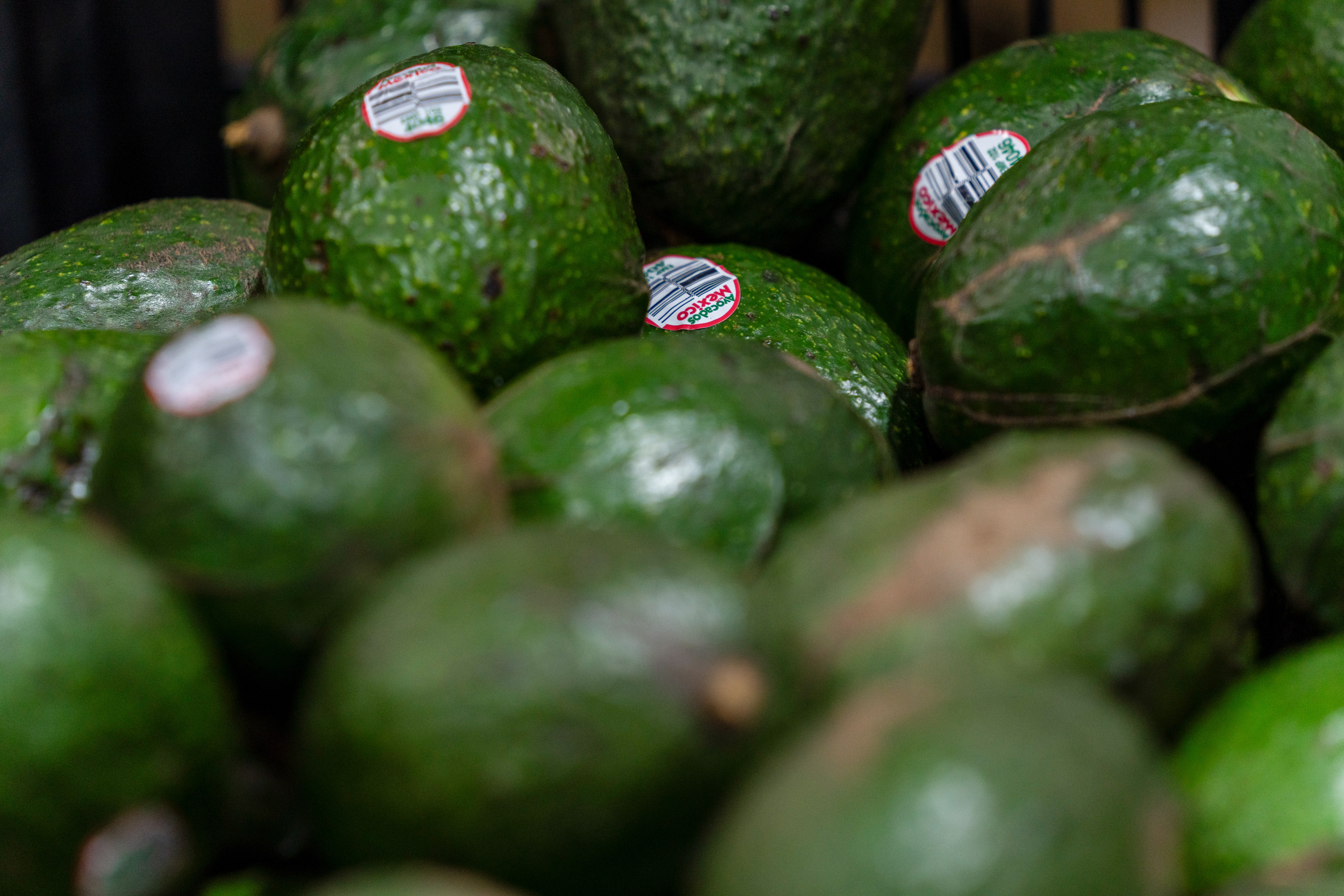 EE.UU. suspende importación de aguacate mexicano por alerta de seguridad en Michoacán