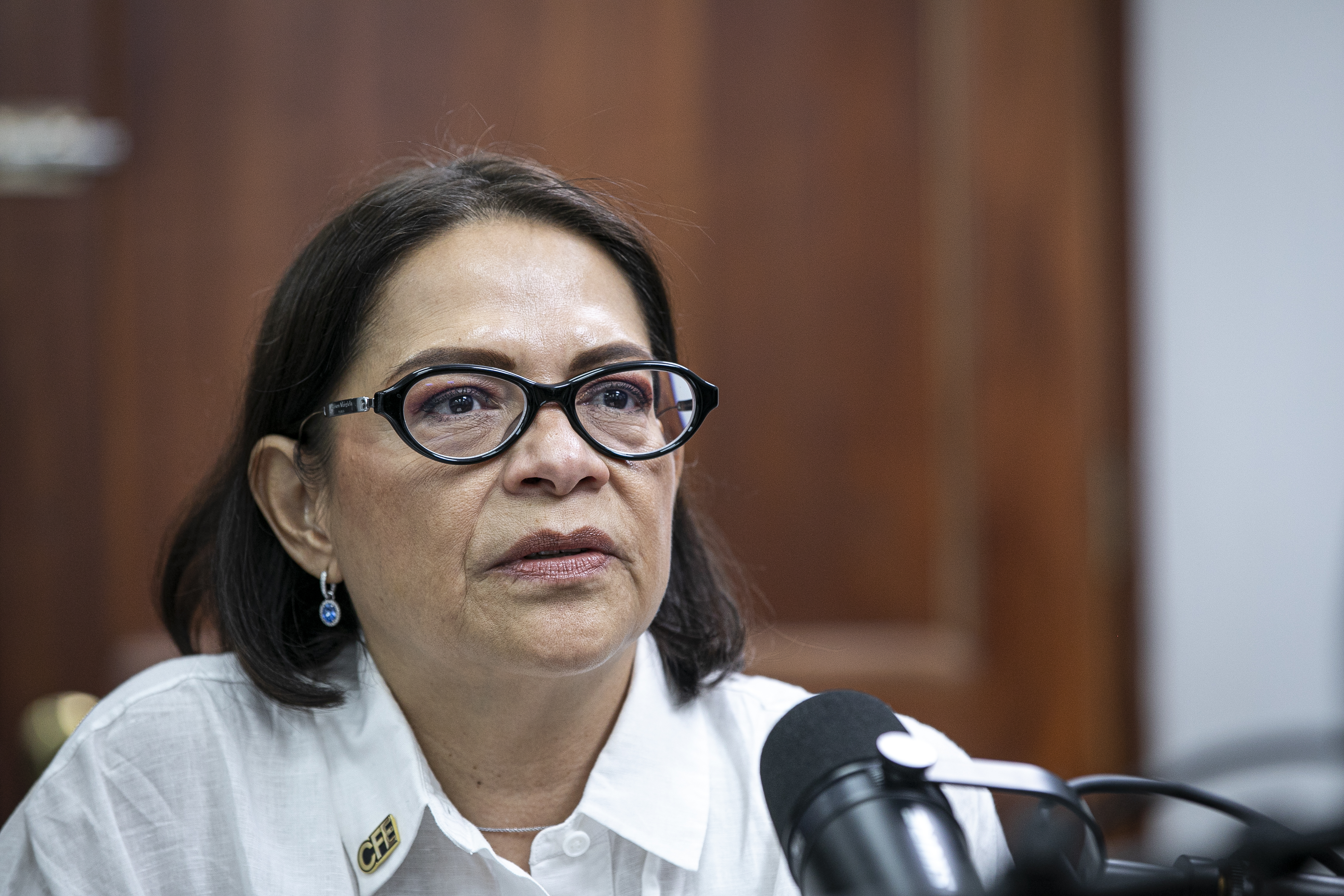 Exclusiva: Directora de CFE estudia emisión de más fibras para proyectos eléctricos en México Exclusiva: Directora de CFE estudia emisión de más fibras para proyectos eléctricos en México