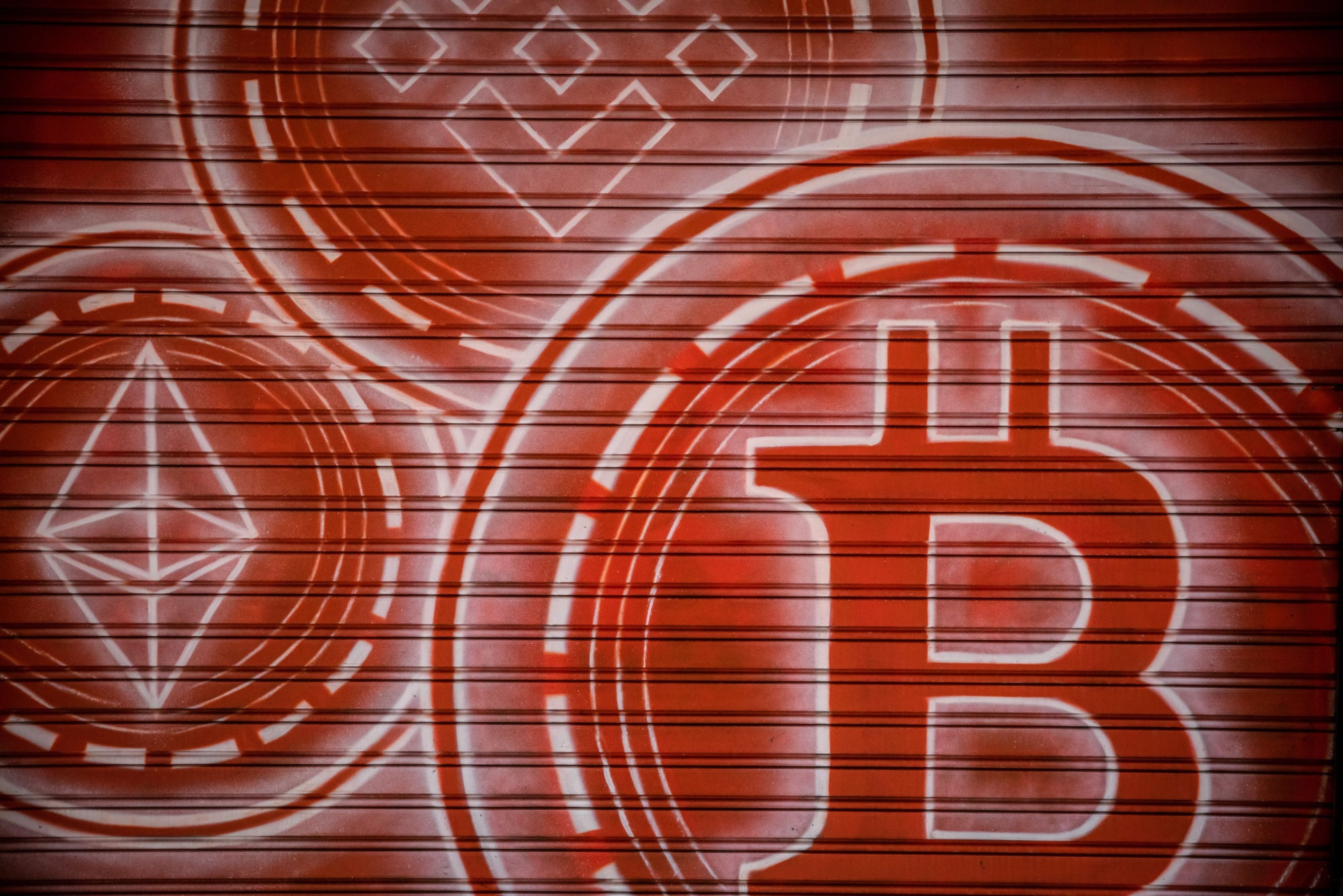 Desembarco cripto: Ripio se lanza en EE.UU. y apuntará a conquistar  usuarios latinos