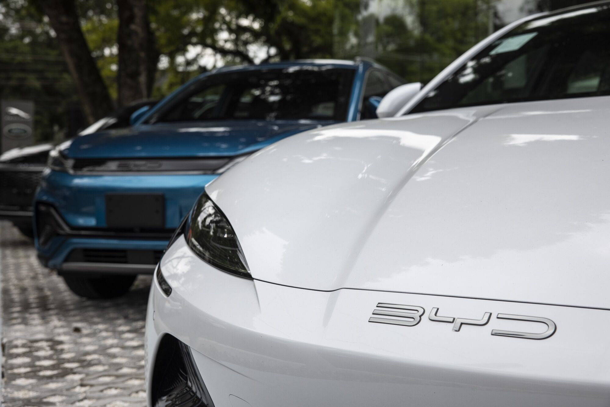 Rede varejista líder no México encerra vendas de carros elétricos da BYD Rede varejista líder no México encerra vendas de carros elétricos da BYD