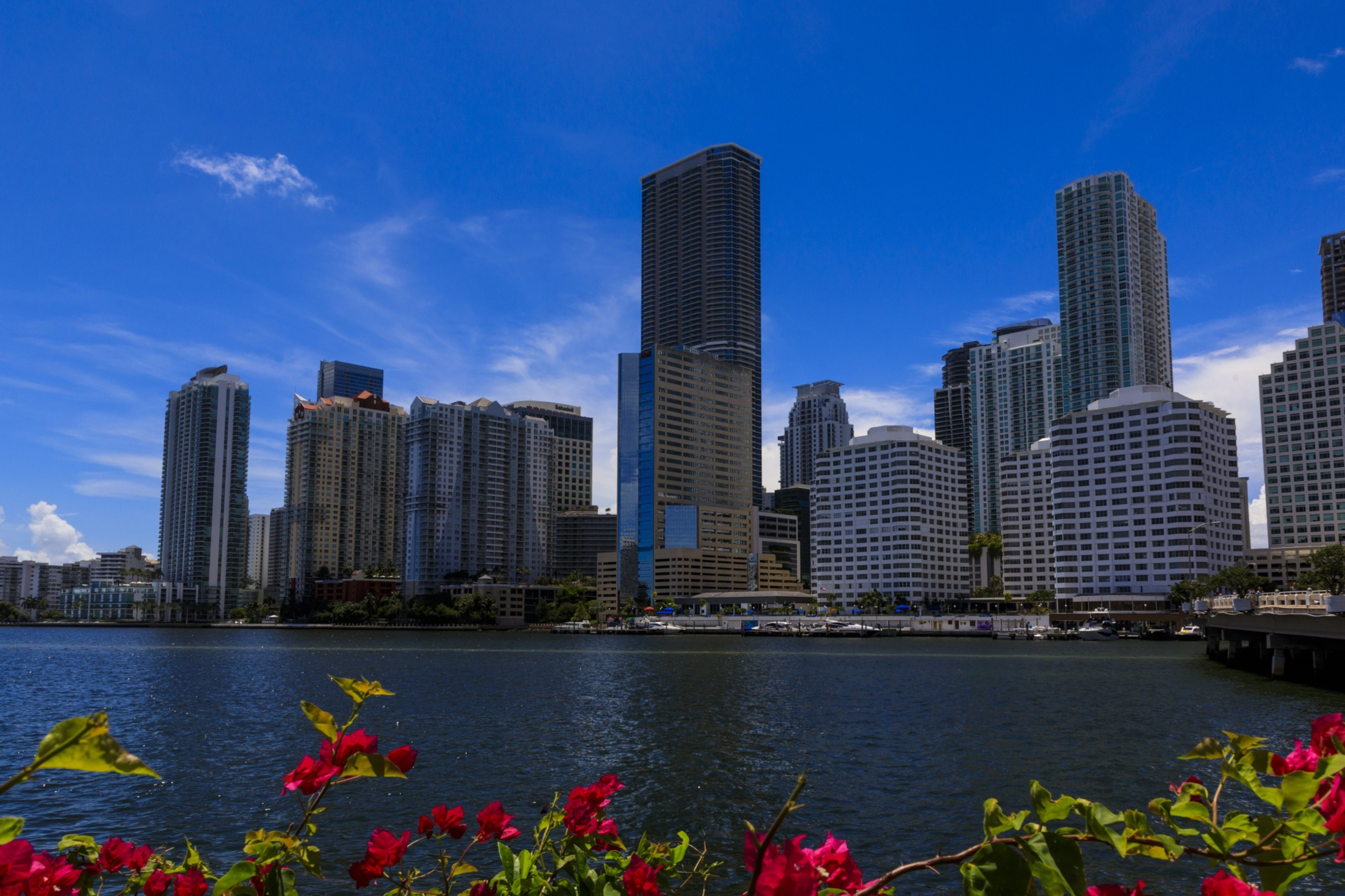 Miami se enfrenta a problemas de basura y cloacas ante mayores influjos de  población, image size:6091x4059