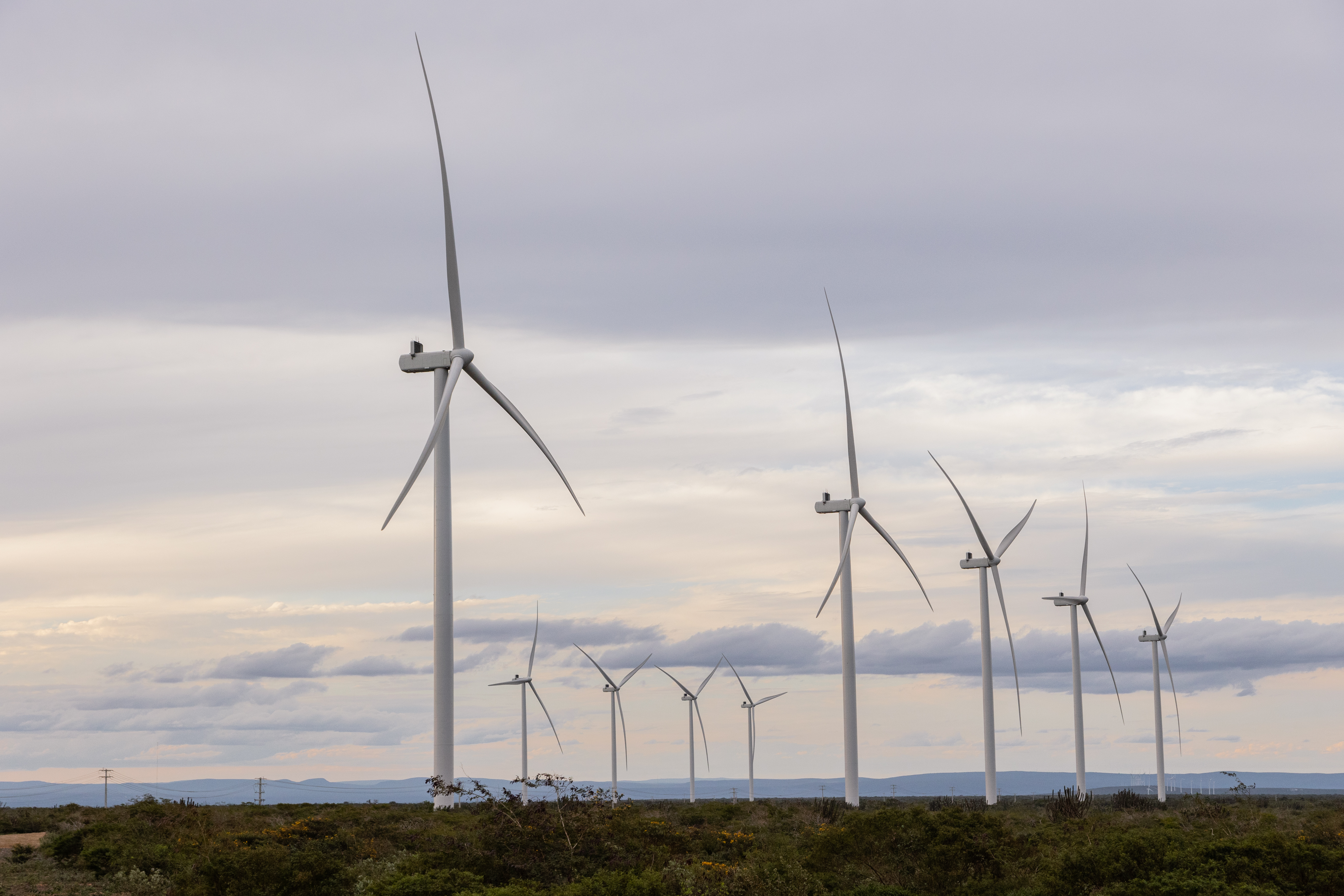 Delfos nasceu no Brasil e atua na Europa com IA em renováveis. E agora capta € 3 mi