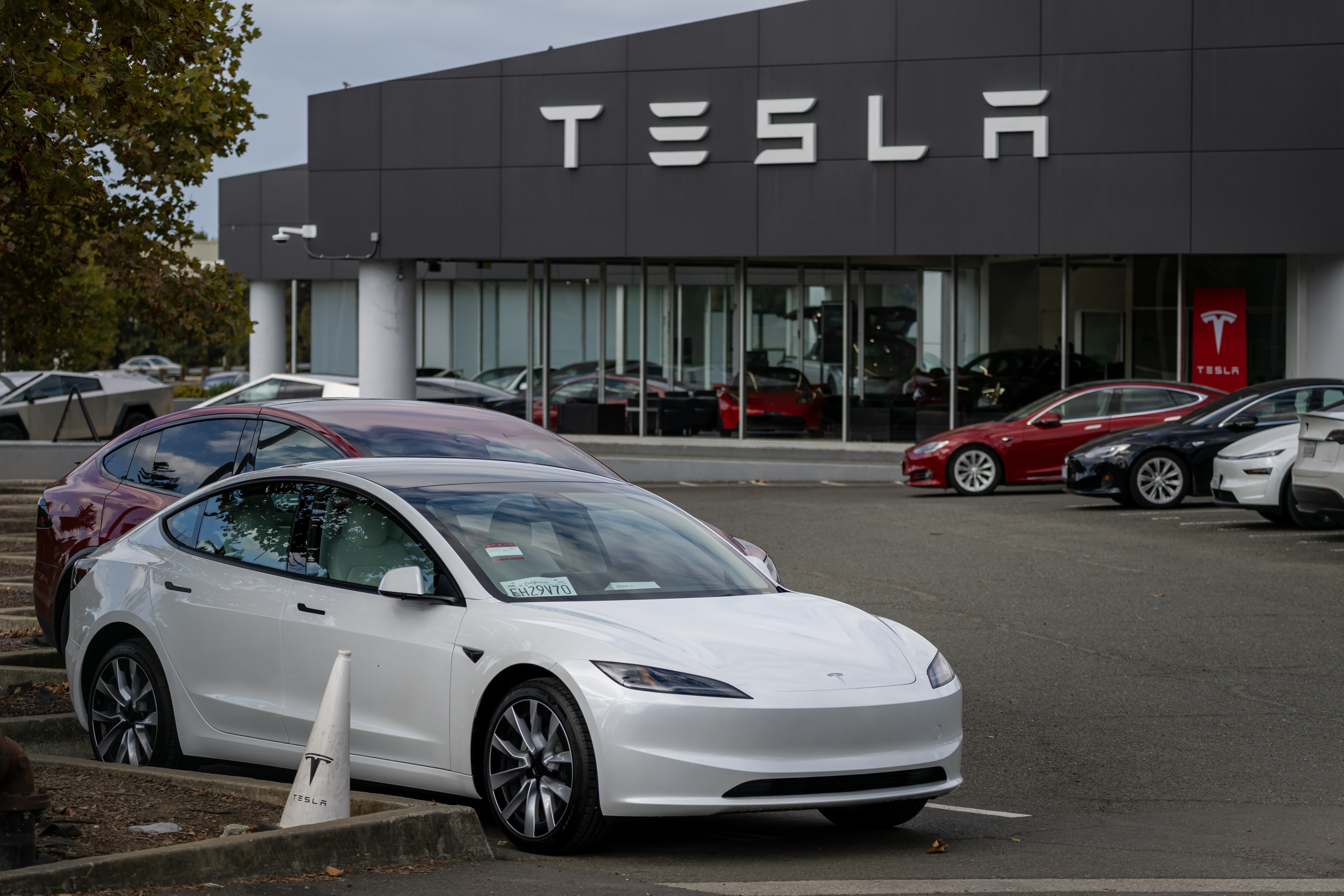 Tesla prepara entrada na Argentina de olho em mercado de elétricos liderado pela BYD