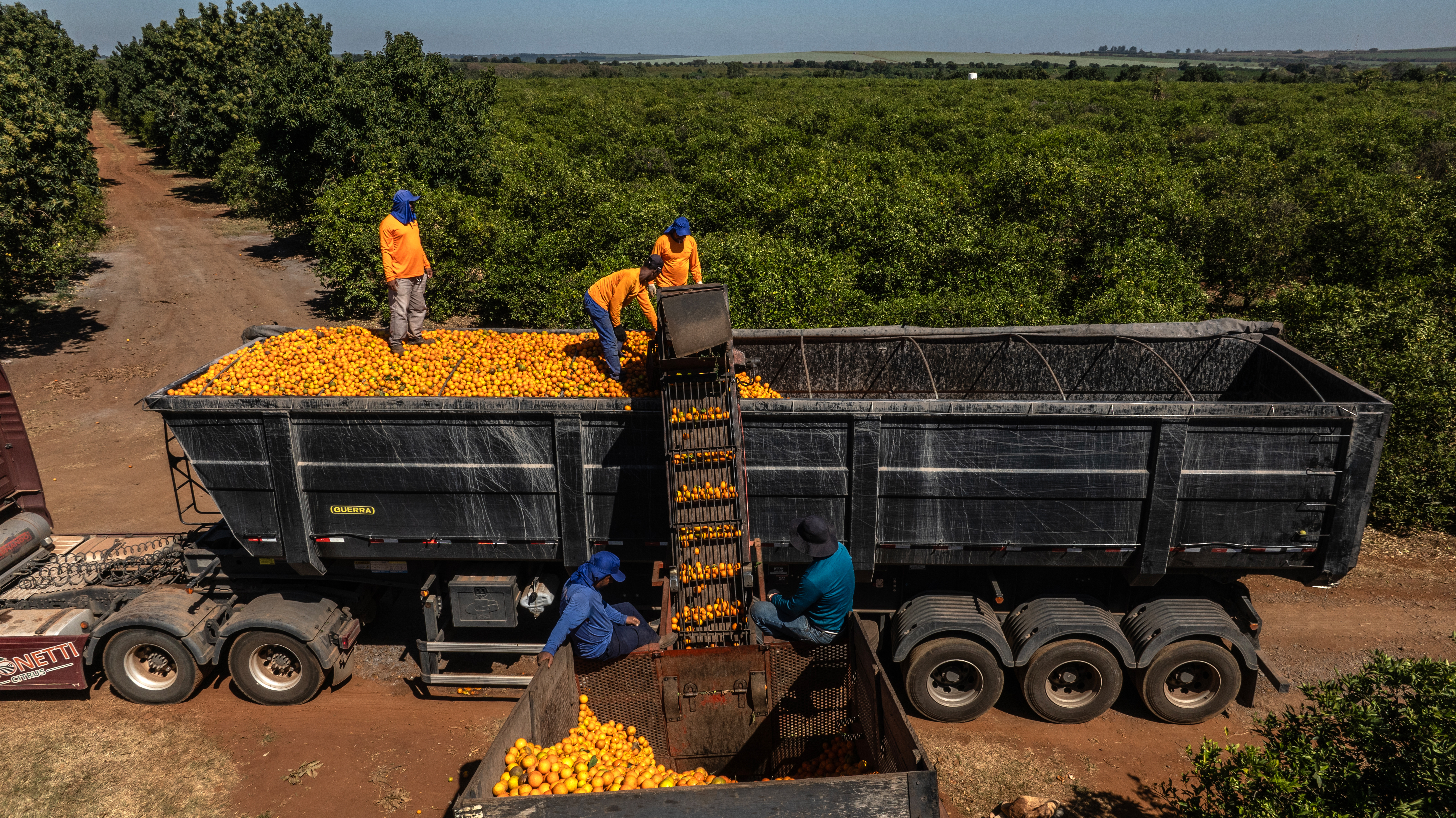 De soja a laranja: como foi o desempenho das commodities agrícolas no 1º semestre De soja a laranja: como foi o desempenho das commodities agrícolas no 1º semestre
