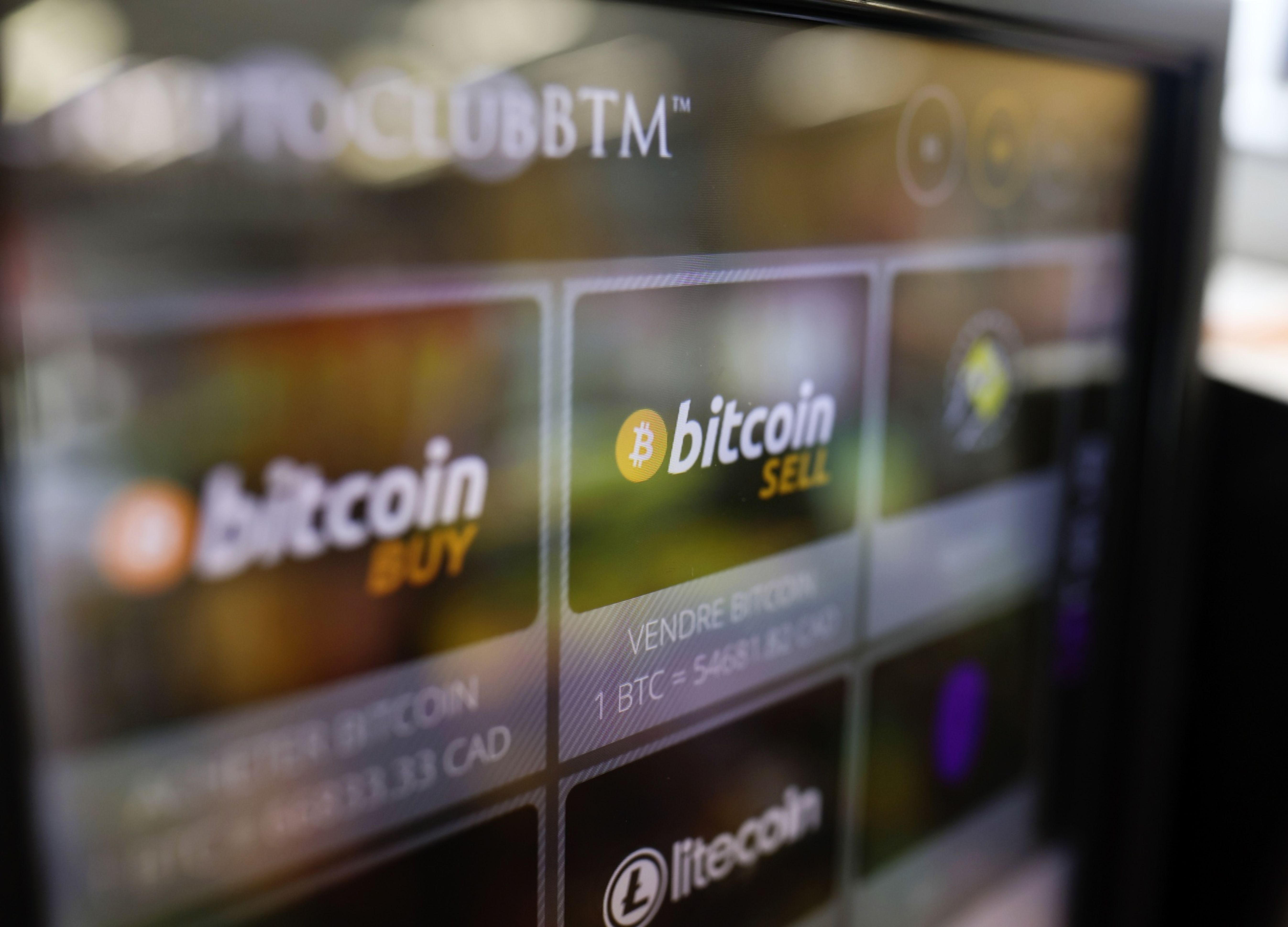 Dominicana no está atrás en tecnología y criptomonedas”: CEO de Harvest  Trading Cap