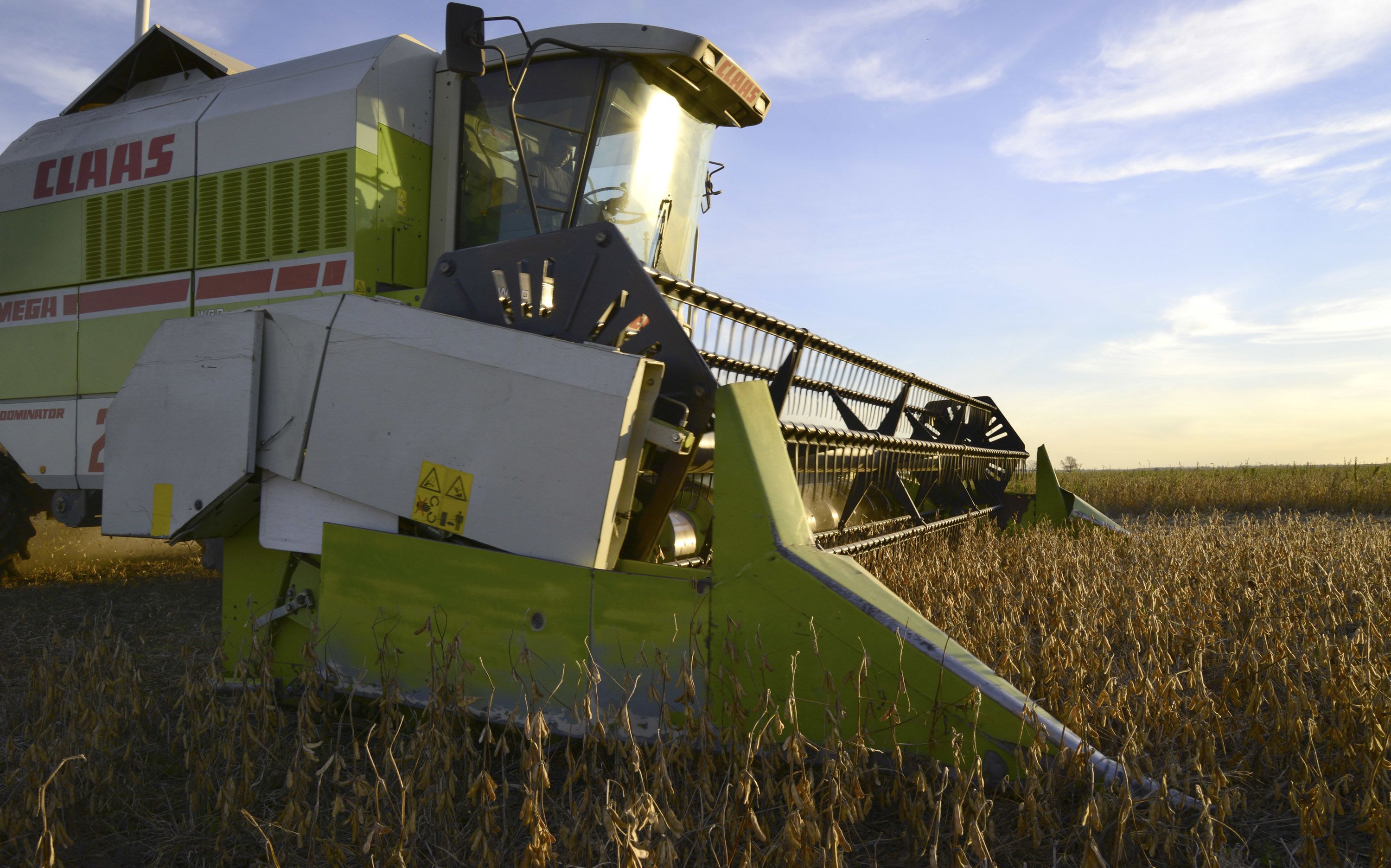 Ingreso de dólares del agro argentino se normaliza a la espera de un salto por la cosecha gruesa