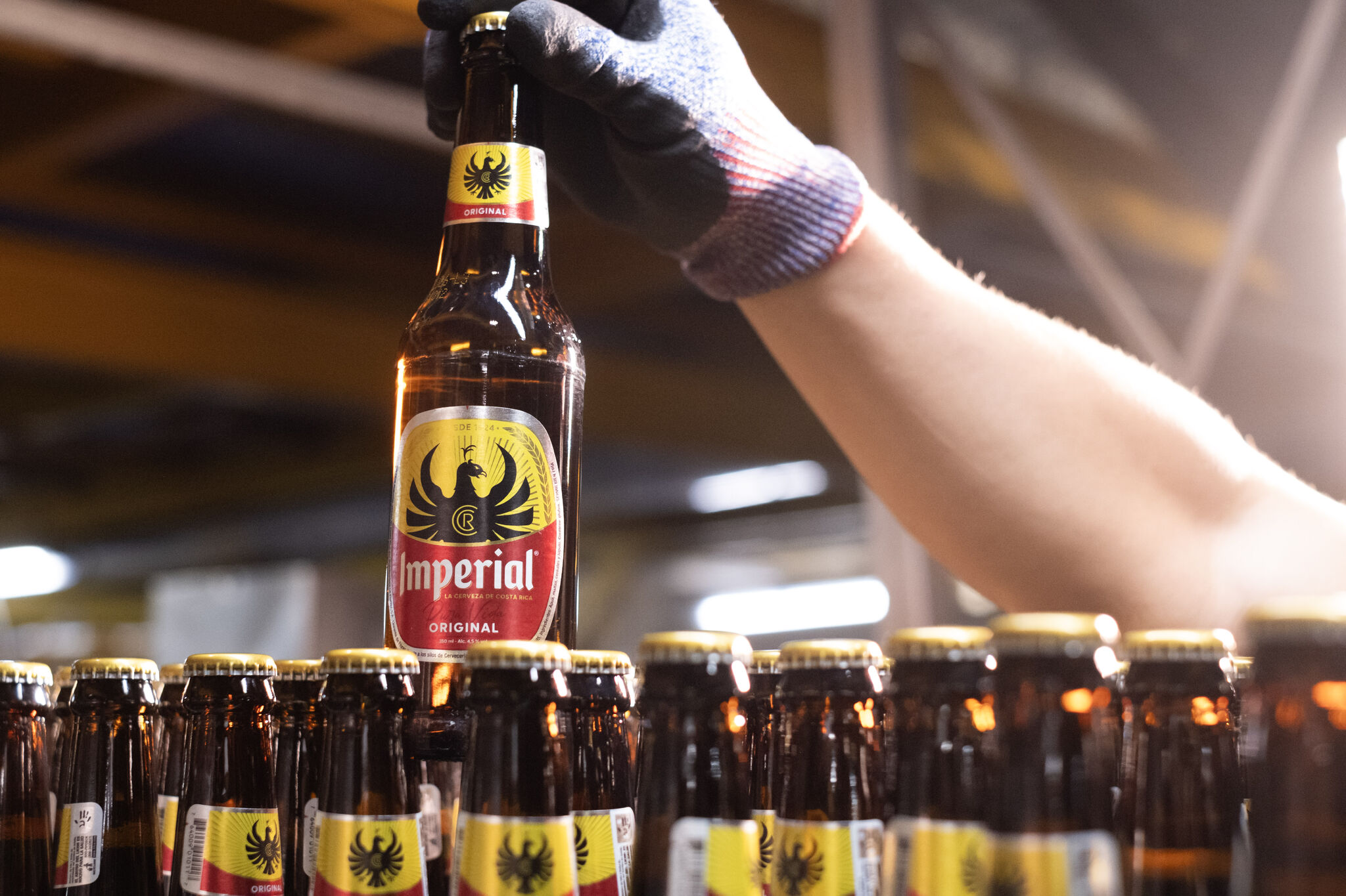 Heineken ve señales de retorno en su apuesta de US$3.200 millones por la costarricense Fifco Heineken ve señales de retorno en su apuesta de US$3.200 millones por la costarricense Fifco