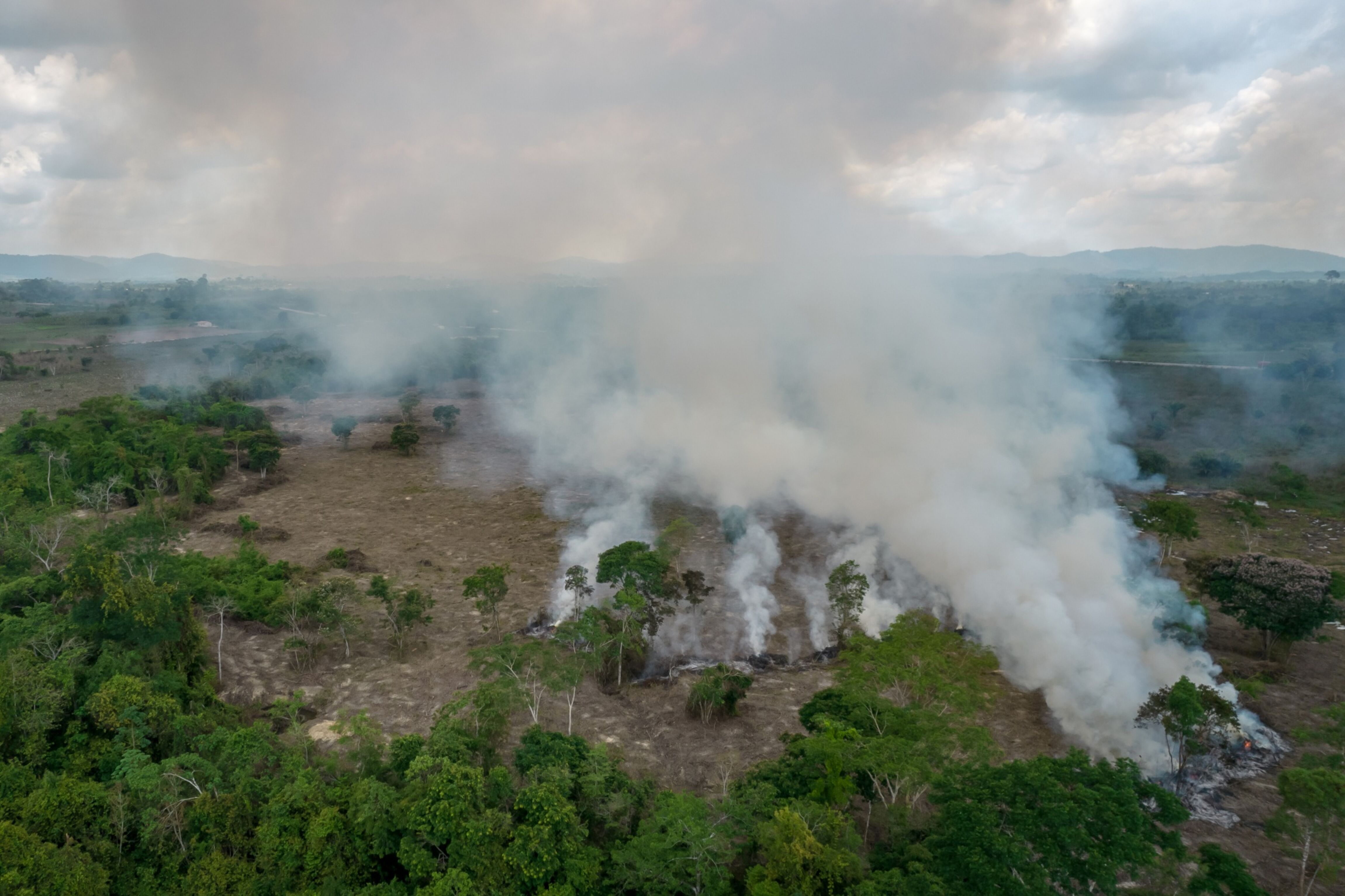 Crimen organizado impulsa un “colapso ecológico” con la destrucción de la Amazonía, según reporte Crimen organizado impulsa un “colapso ecológico” con la destrucción de la Amazonía, según reporte