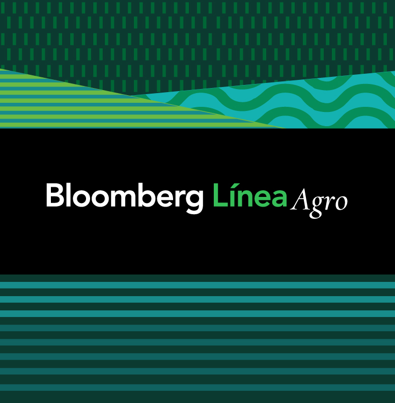 Bloomberg Línea Agro - Esteja informado com as notícias que impactam os preços do campo e as tendências do agronegócio.