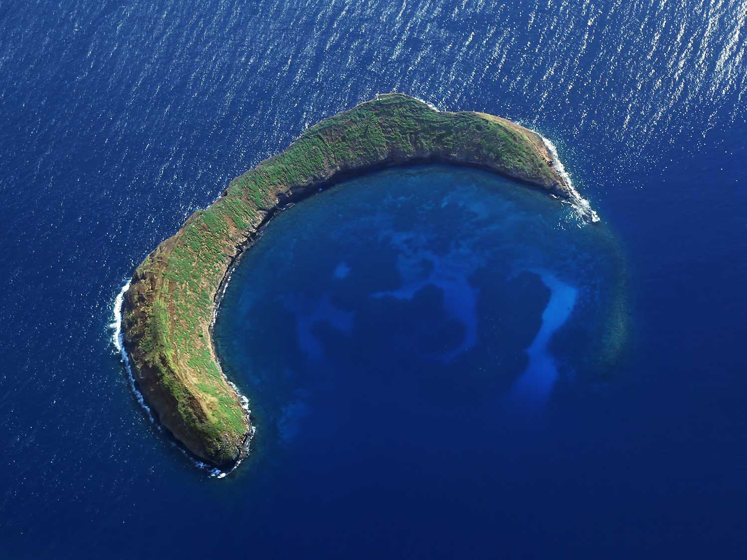 The Best Snorkeling In Maui Islands