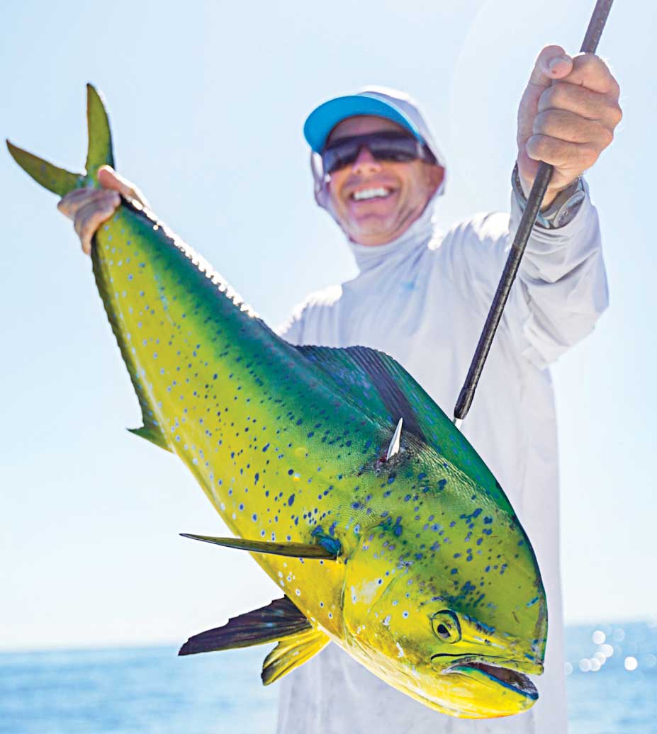 California Dorado Fishing Salt Water Sportsman