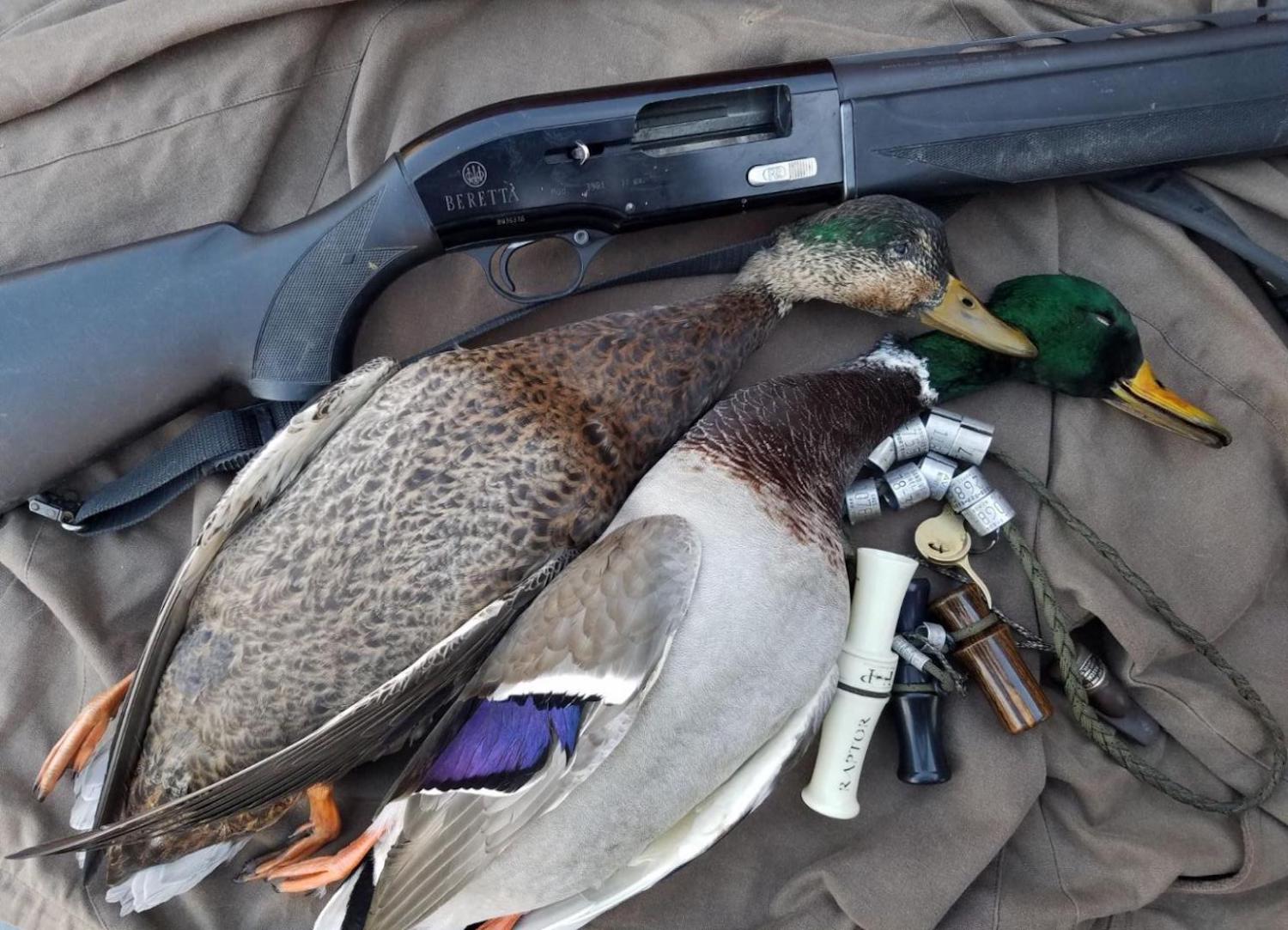 used duck hunting equipment
