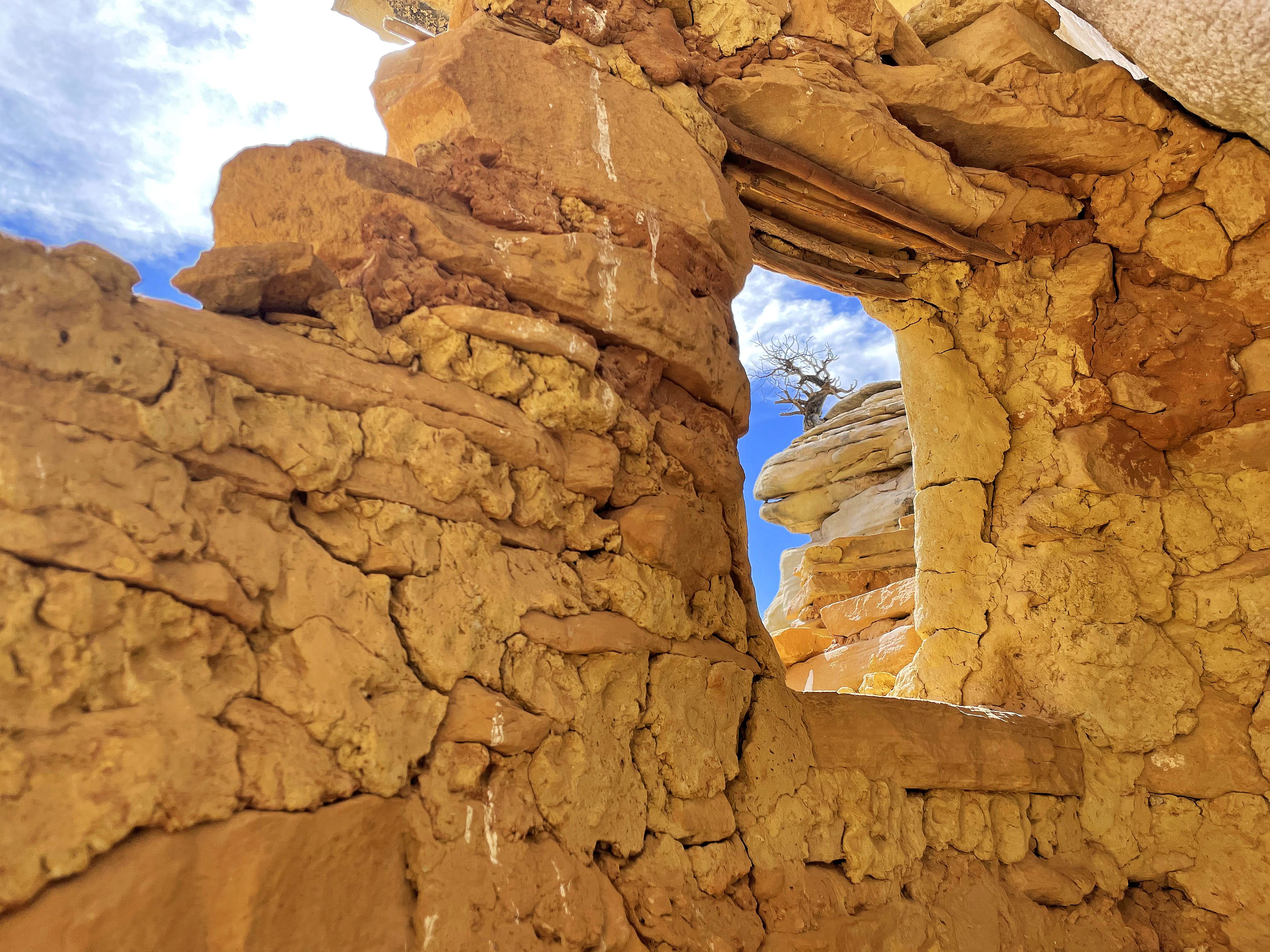 Yellow House is tucked in an alcove, allowing the Indigenous homeowners some cooling shade.