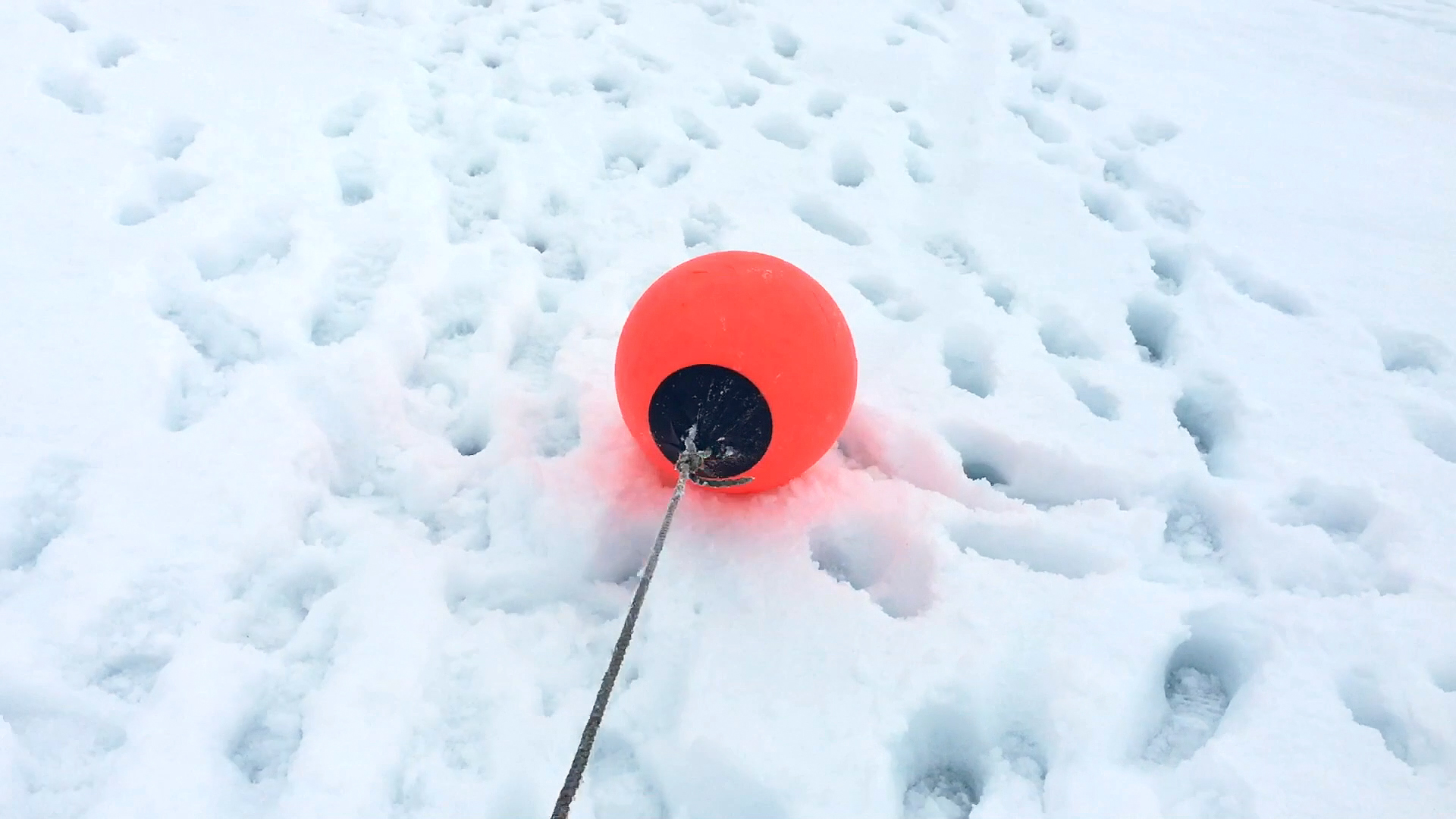 Still from Justin Levesque's "Proxy, 2017," iPhone-captured video.