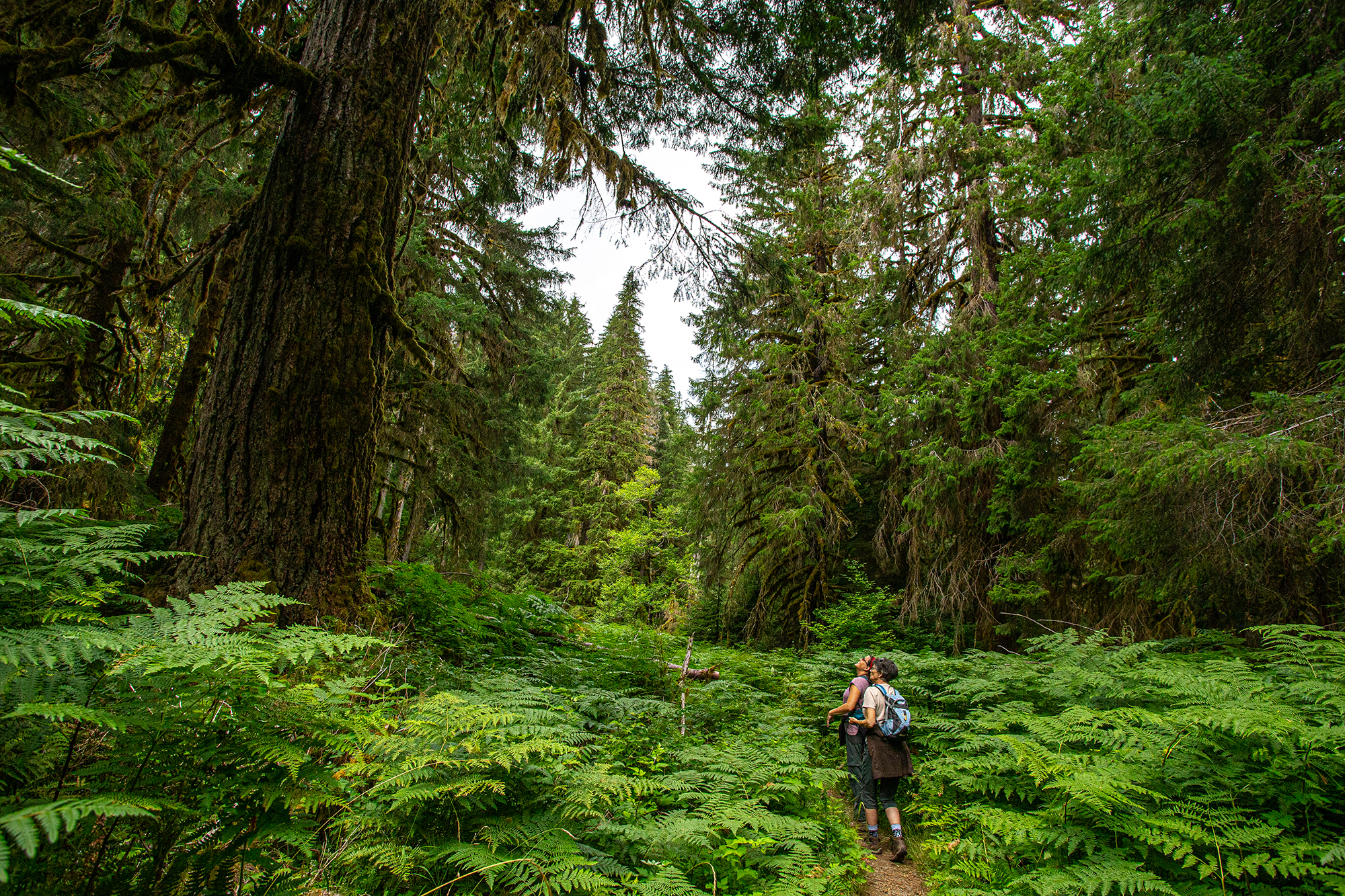 Vacations in nature are winning as people plan their post-COVID travels.
