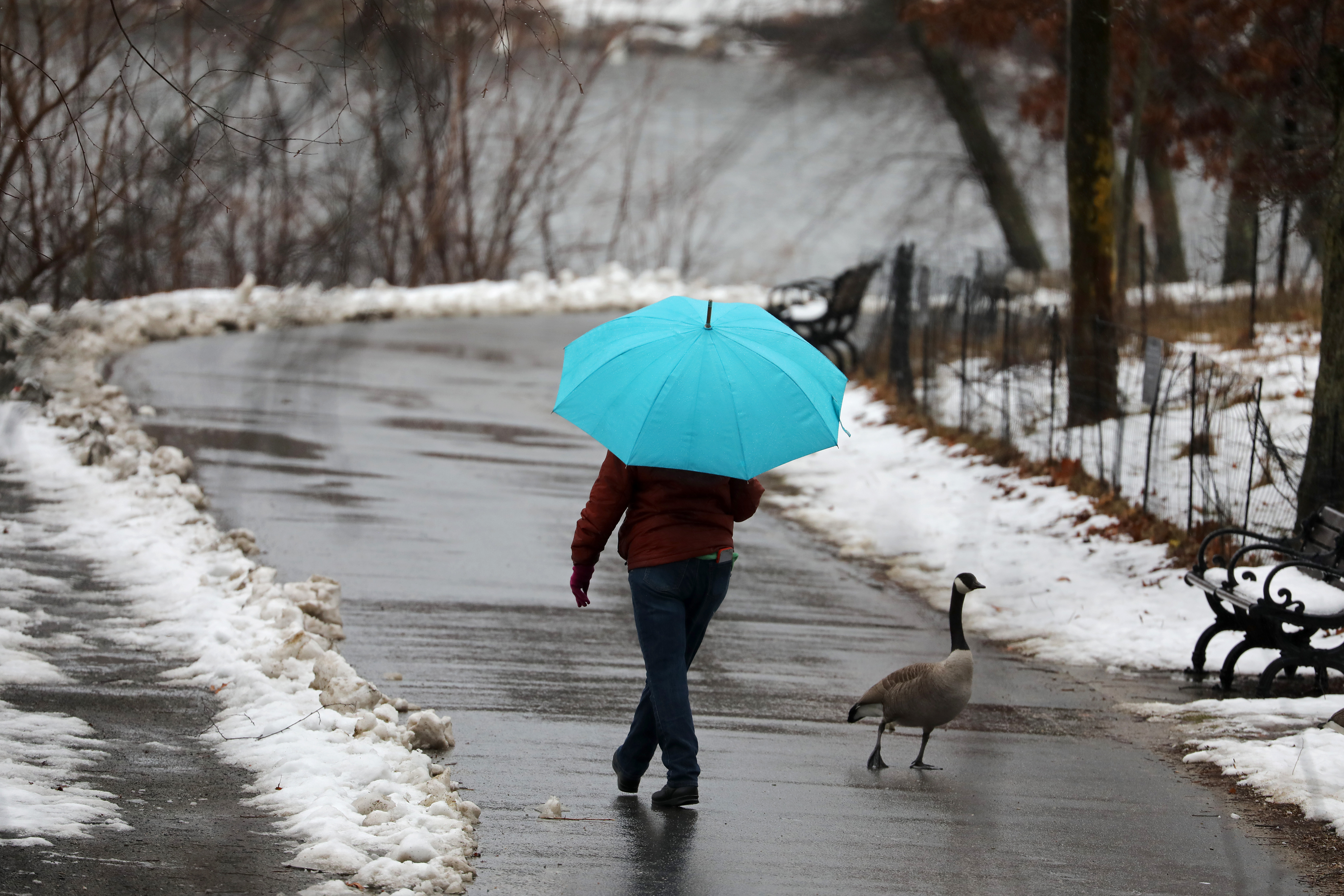 You call that a snowstorm Here s what s happening to winter snowfall in Boston. The Boston Globe