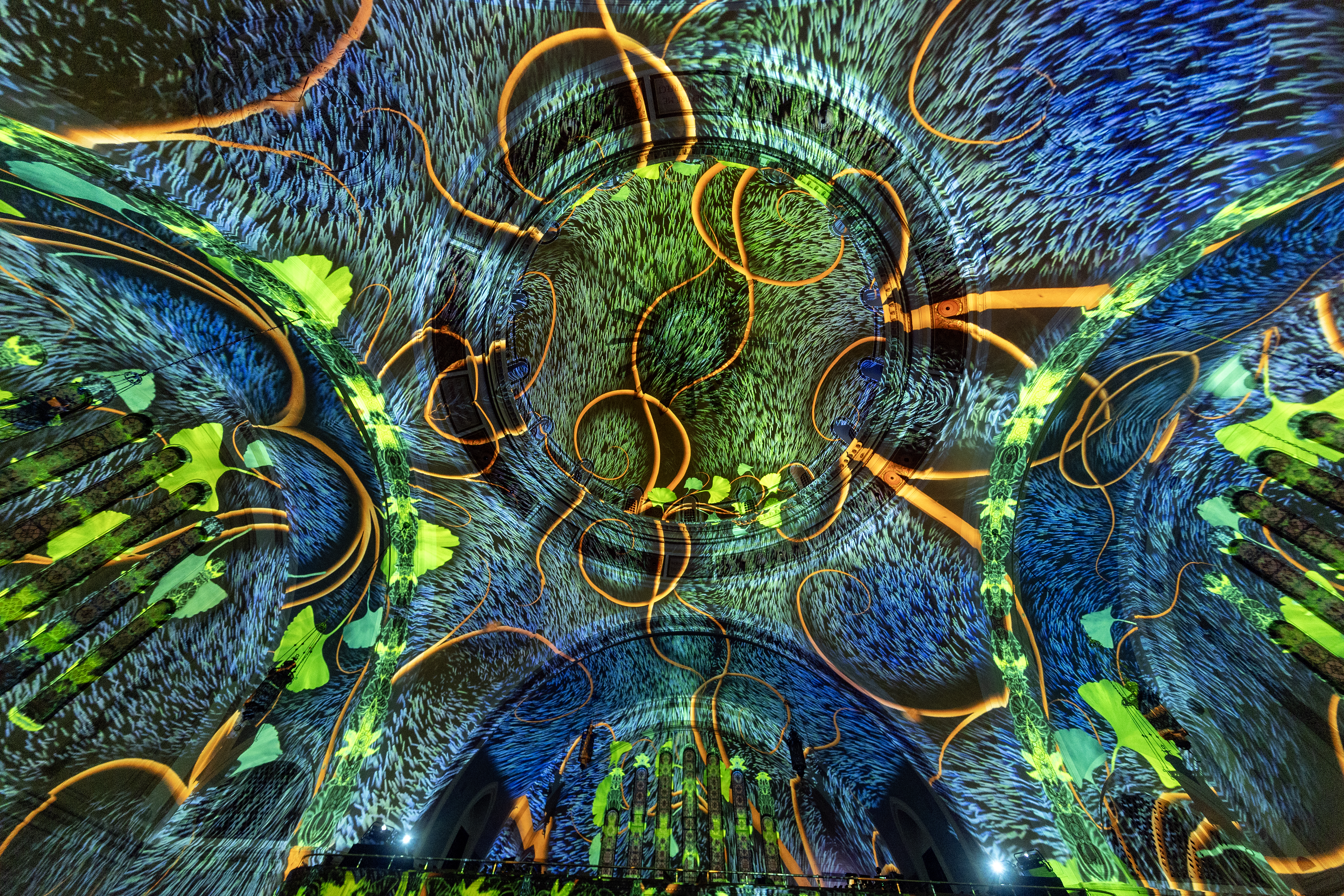 Genesis: An Immersive Light Show