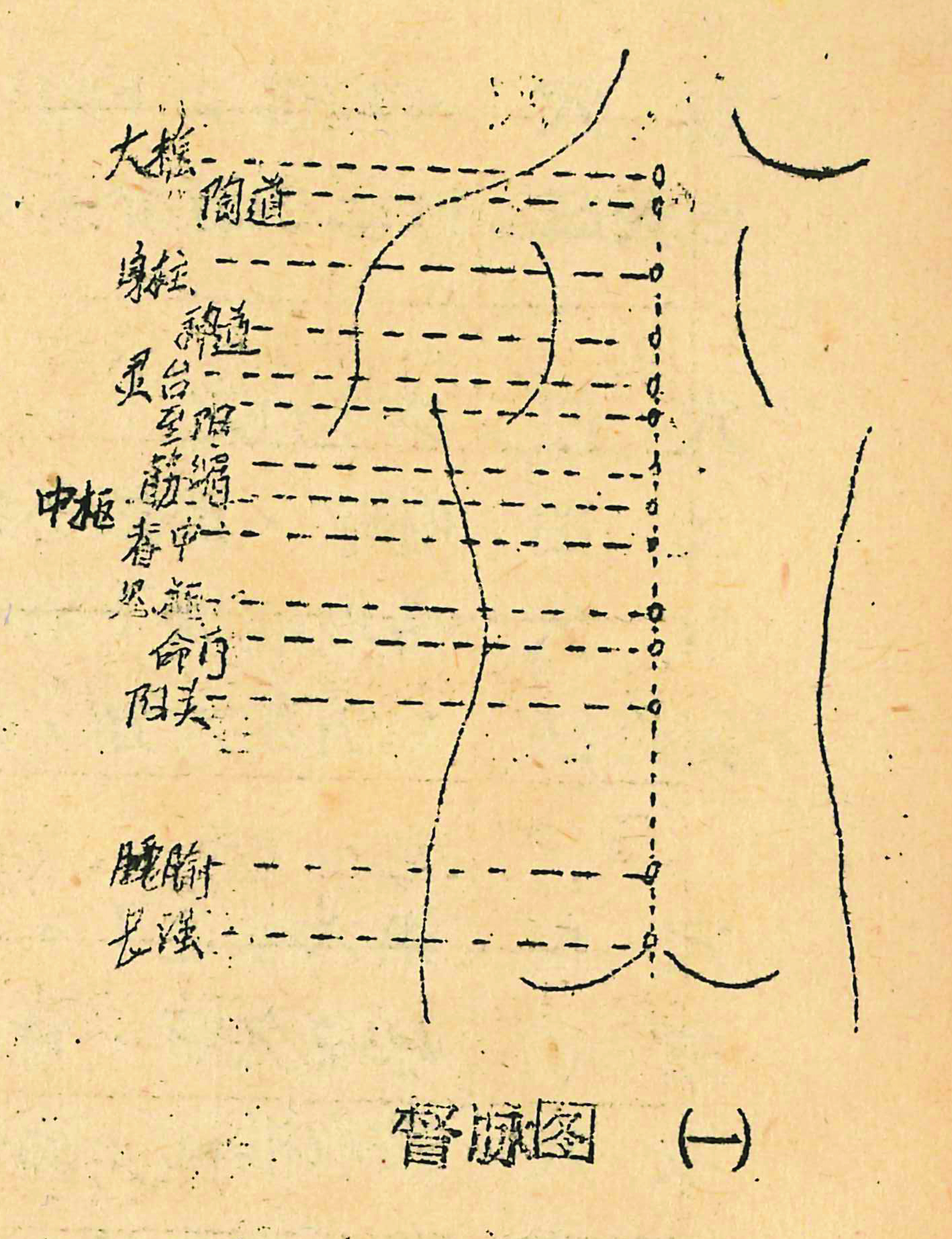 A self-produced textbook on traditional Chinese medicine, c. 1970s.