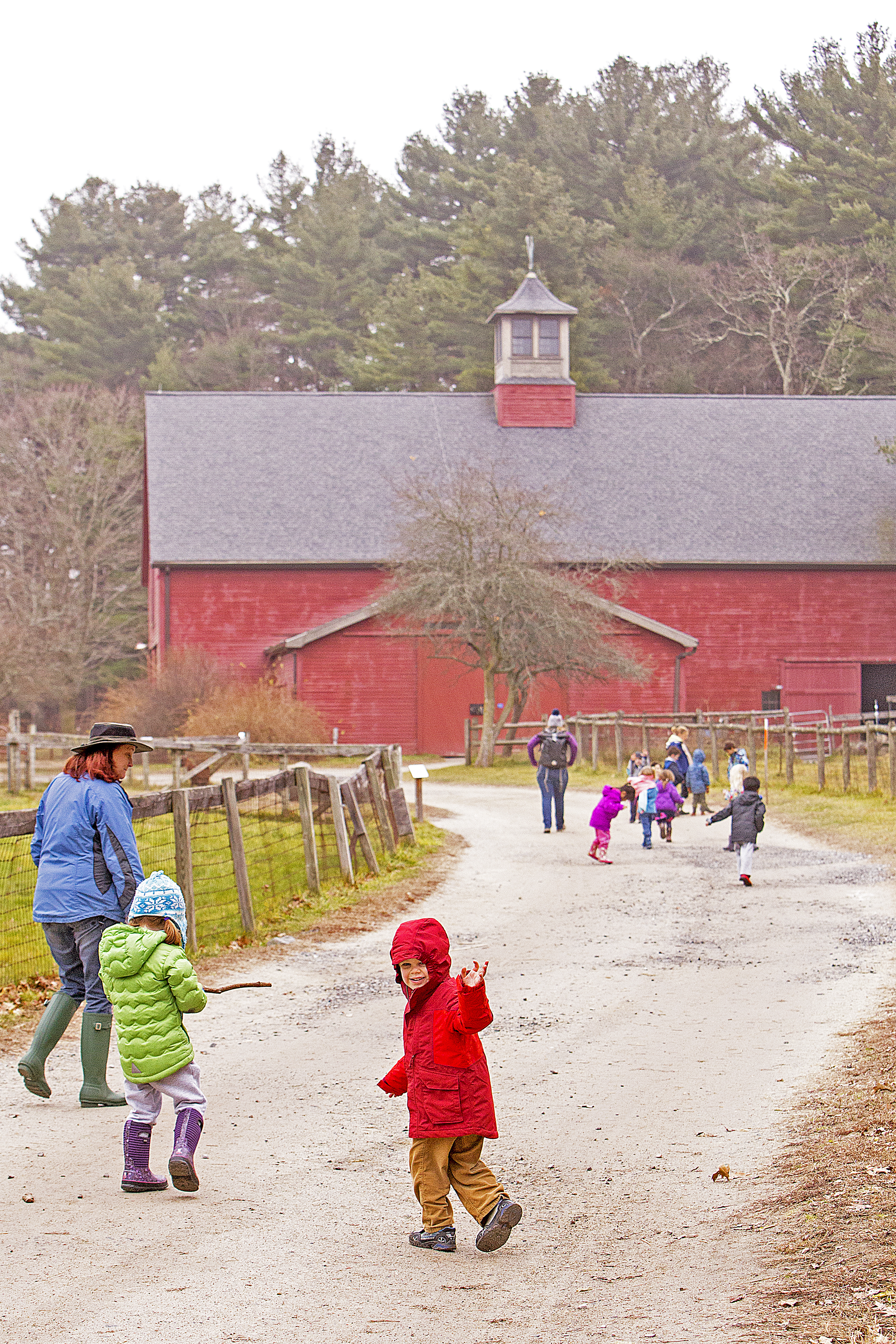 Drumlin Farm