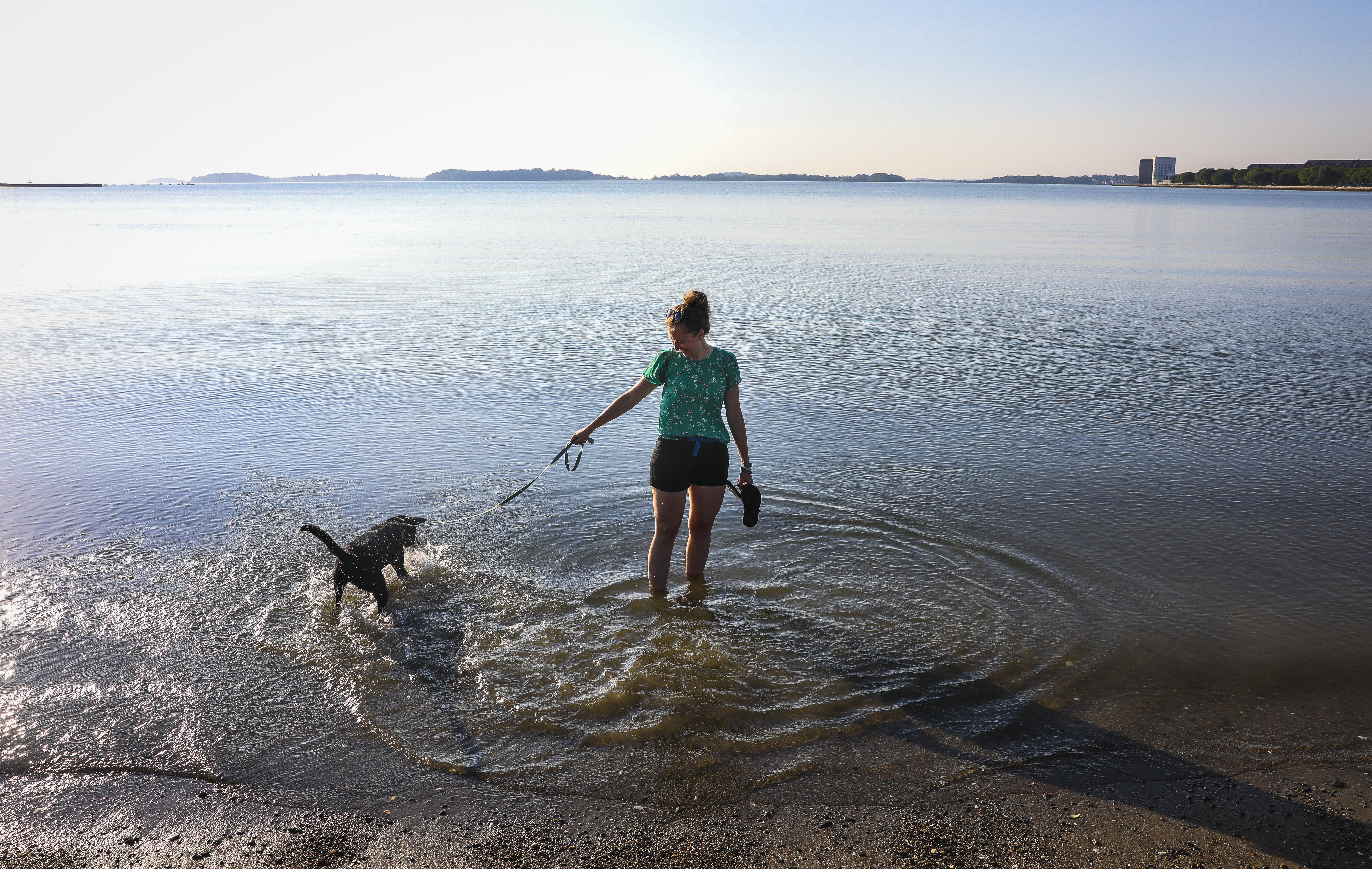 Andrea Noble with her dog, Cora, at Carson Beach.