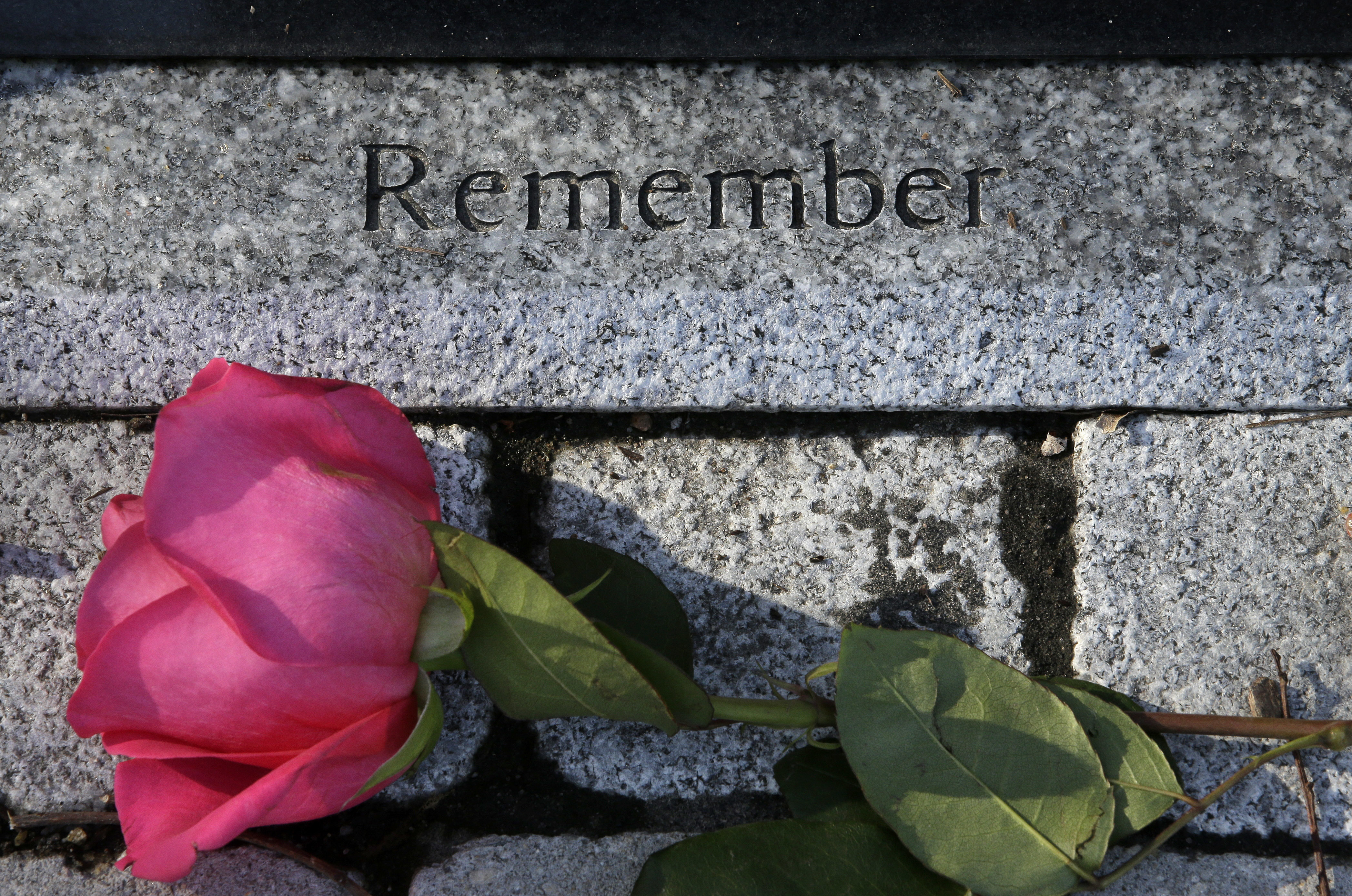 In this Feb. 20, 2018 file photo, a flower rests near a memorial to a victim of the Station nightclub fire in West Warwick, R.I.