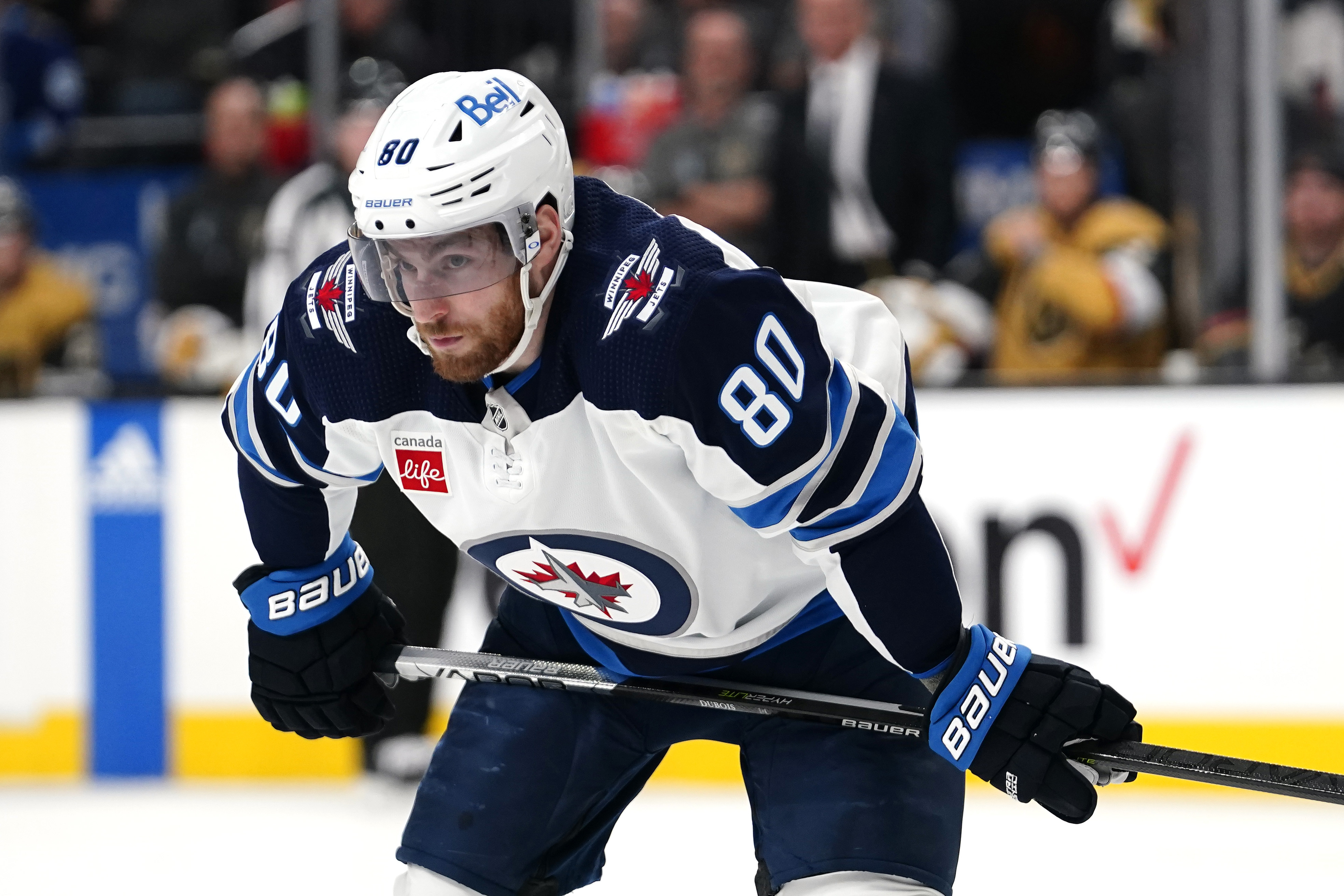 Winnipeg Jets - Shuffling them up! Here are your Bodog Canada