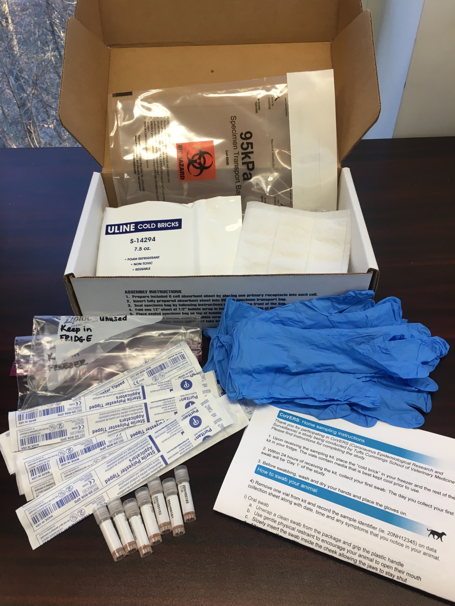 Test kits for the CoVERS study at Cummings School of Veterinary Medicine at Tufts University.