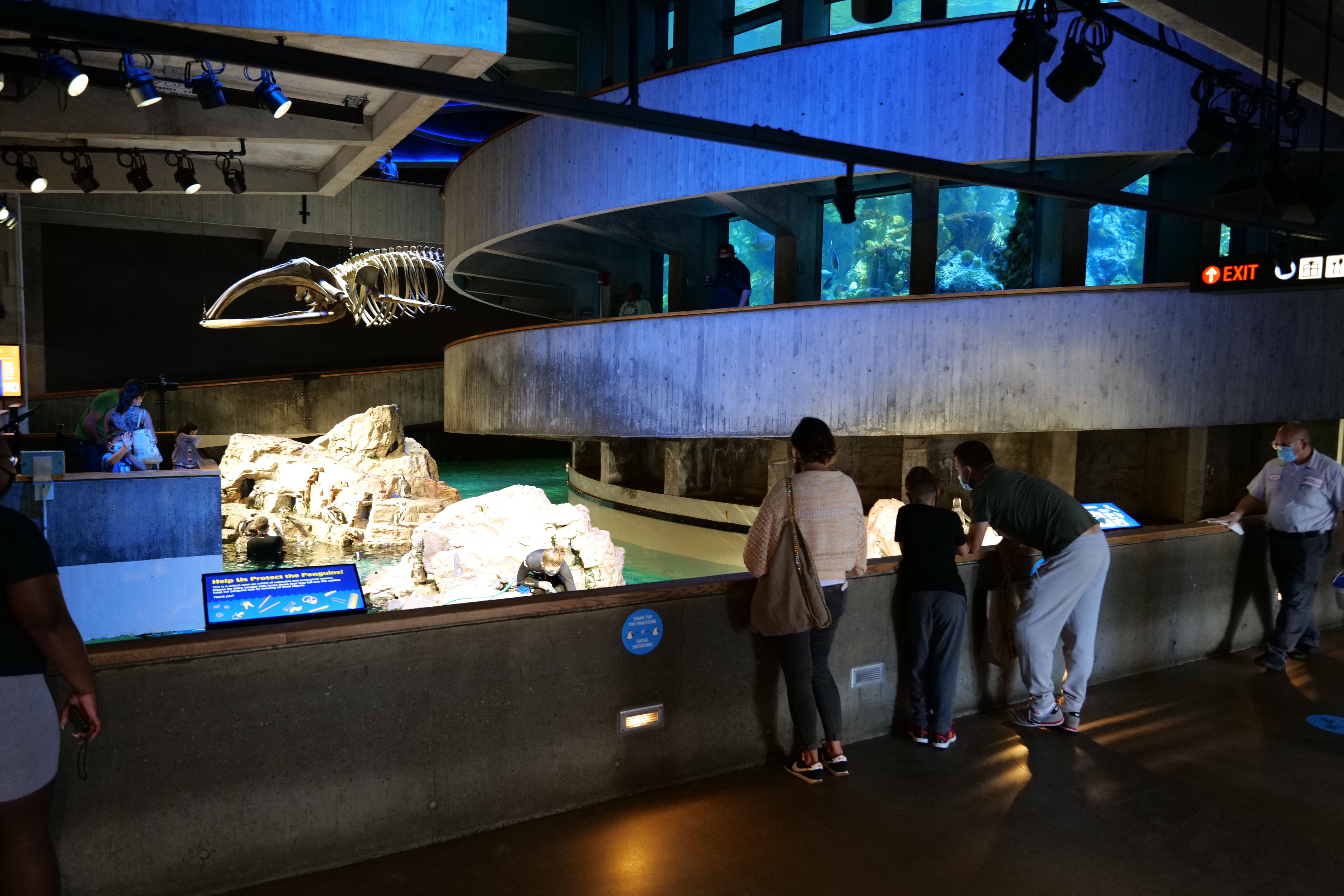 The rays in this touch tank are feeling a little threatened by