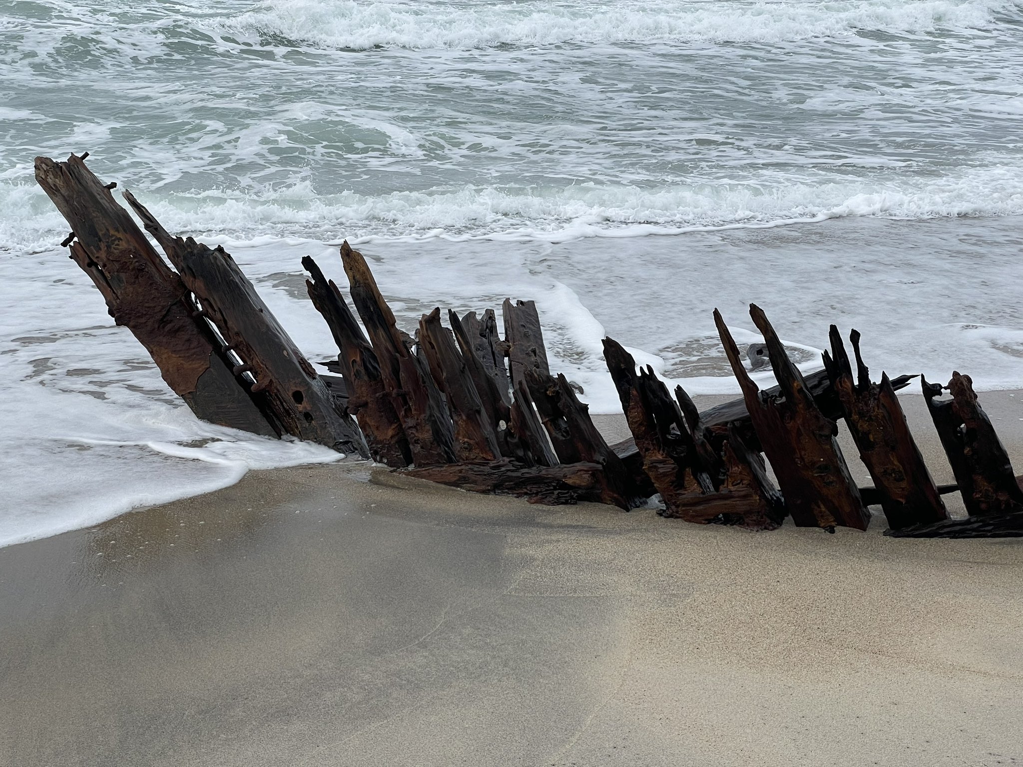 Skeletal shipwreck revealed by beach erosion on US island