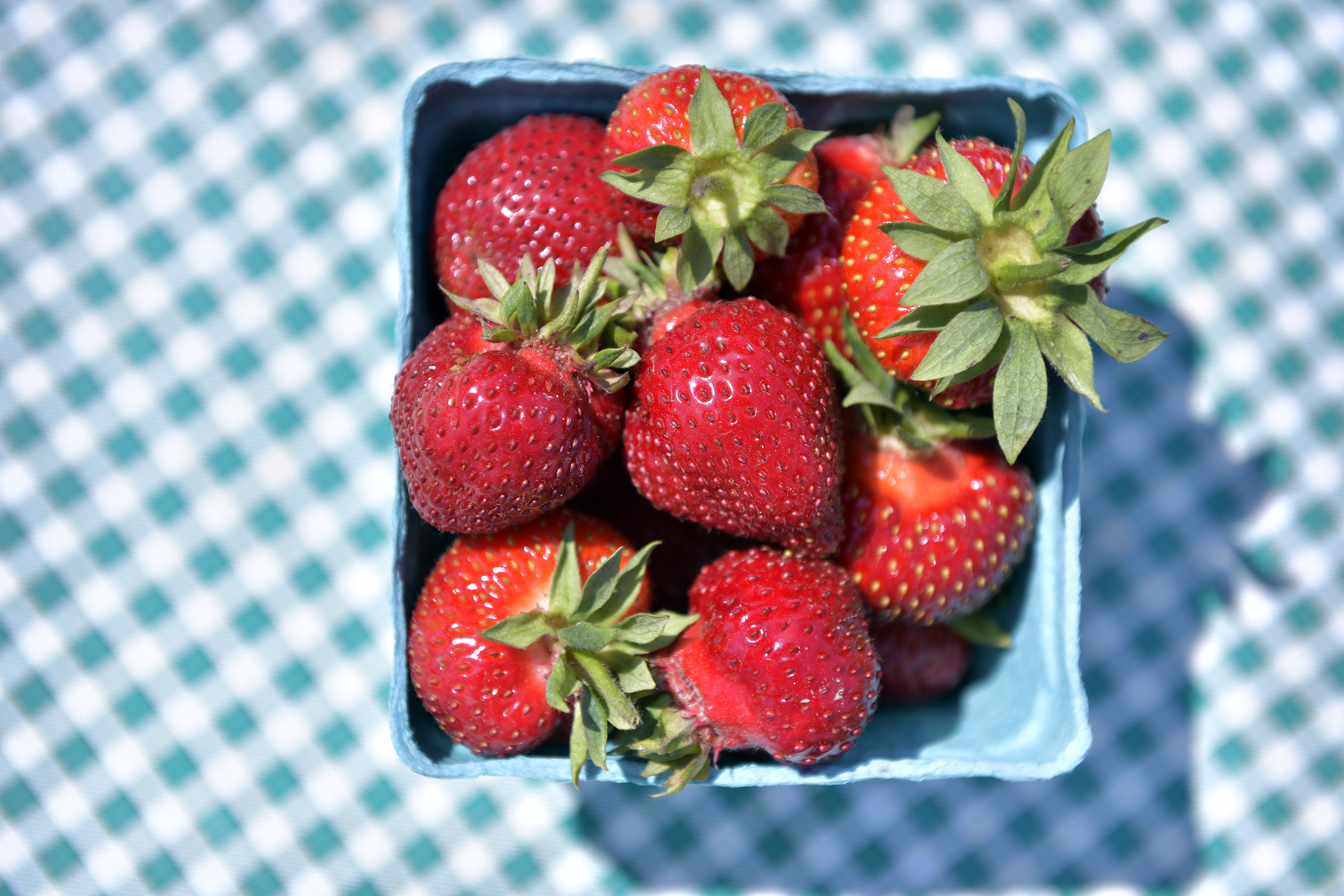 Where to Pick Your Own Strawberries in NJ This Year