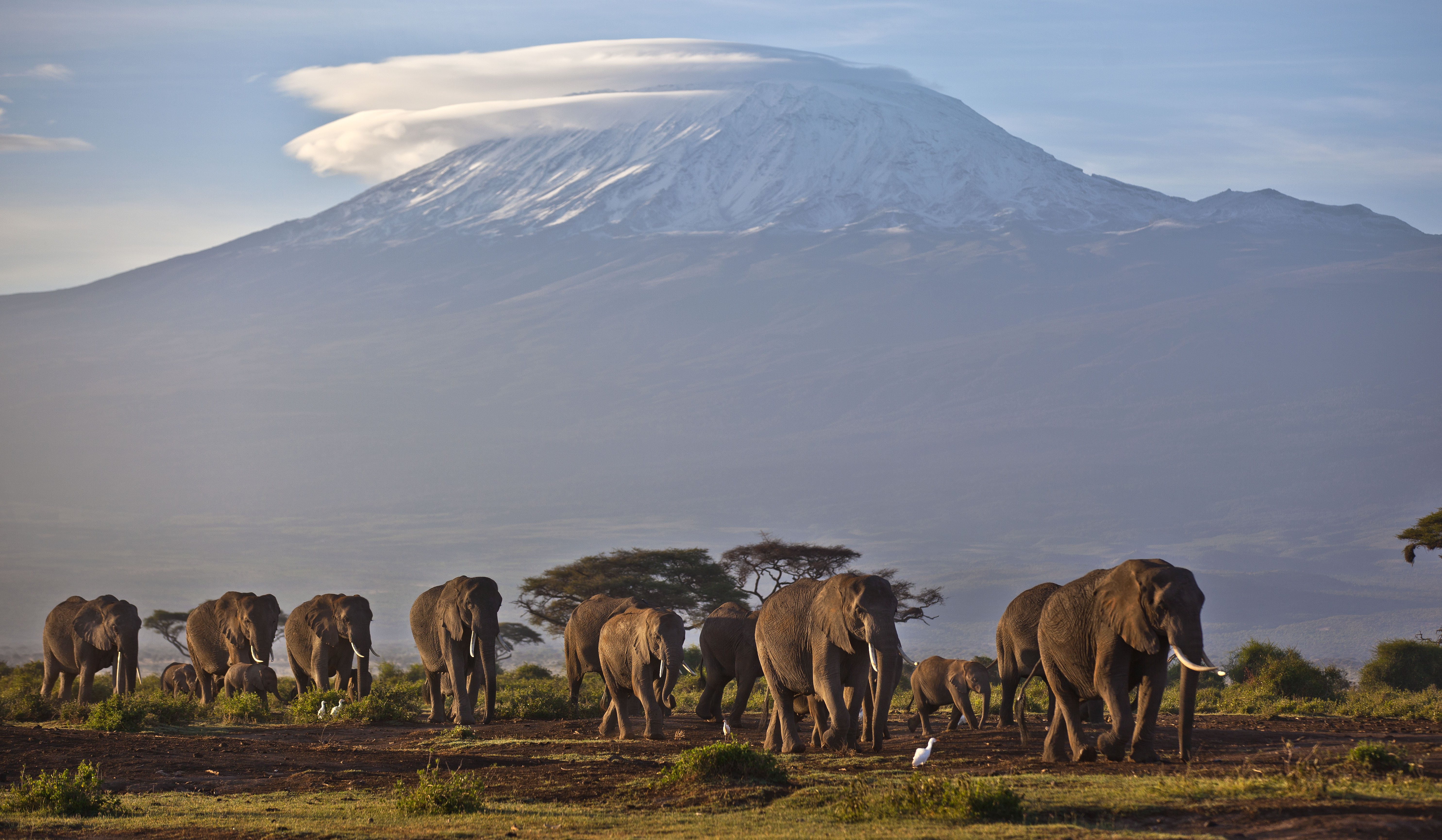 Retha Charette se hizo el tatuaje después de ascender a la cima del monte Kilimanjaro en Tanzania.  Seis de sus ocho tatuajes están relacionados con el turismo y han sido recogidos en su papel de guía para las agencias de viajes Whoa y Damesly.