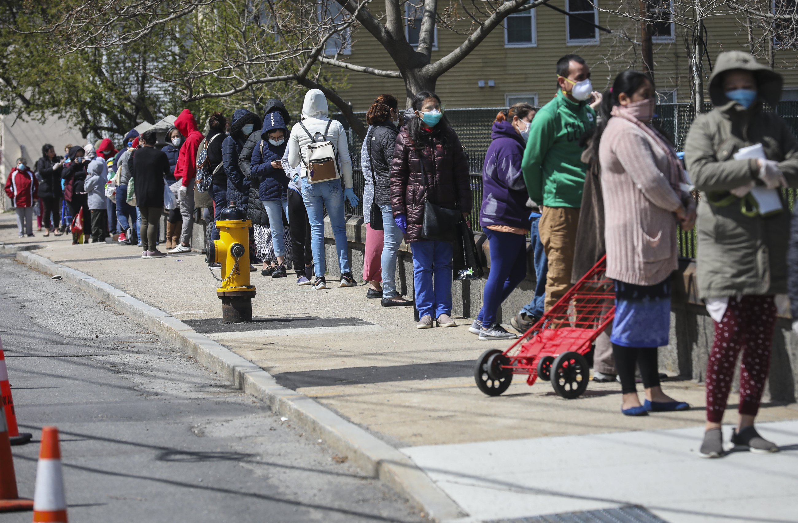 People lined up for food donations organized by Healthy Waltham.