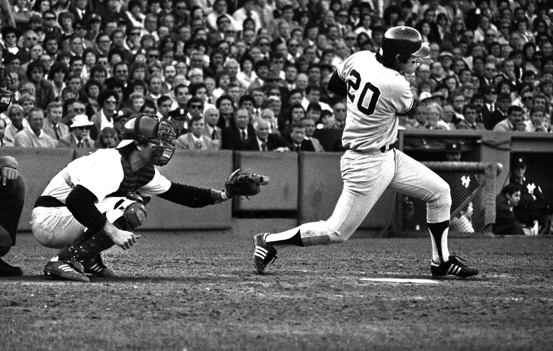 Bucky Dent: BFD