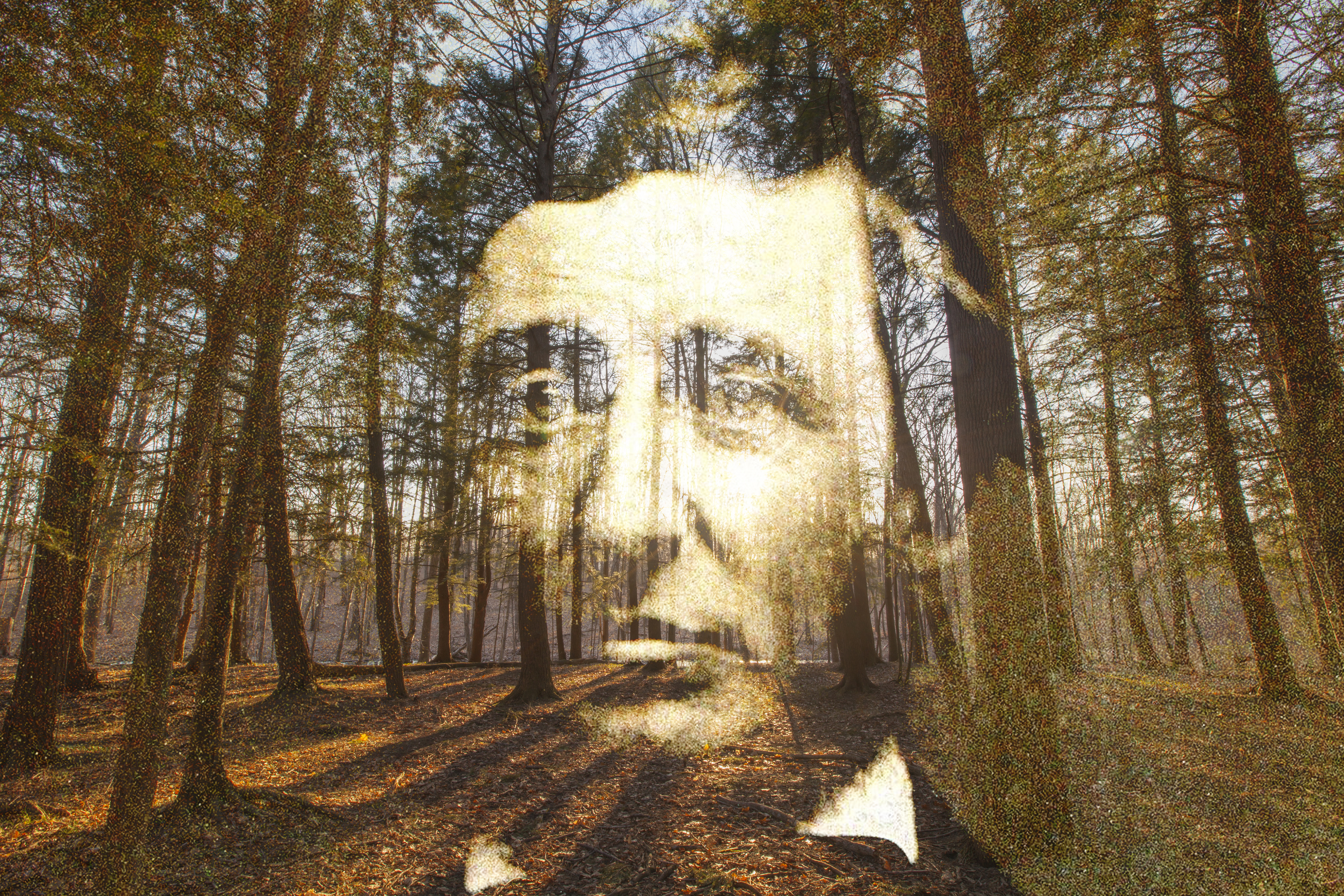 The Thoreau I Didn T Know The Boston Globe