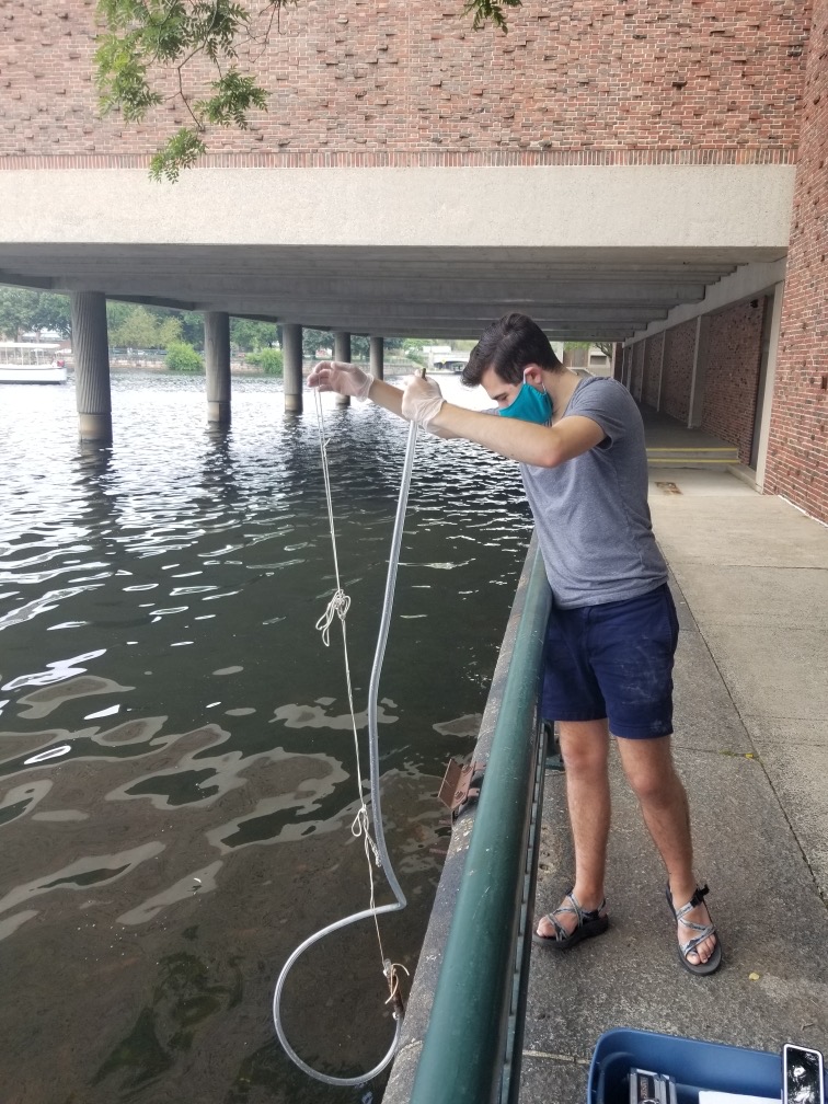 The Charles River Watershed Association issued a public health advisory after scientists found toxic blue-green algae by the Harvard Bridge and Museum of Science Thursday afternoon.