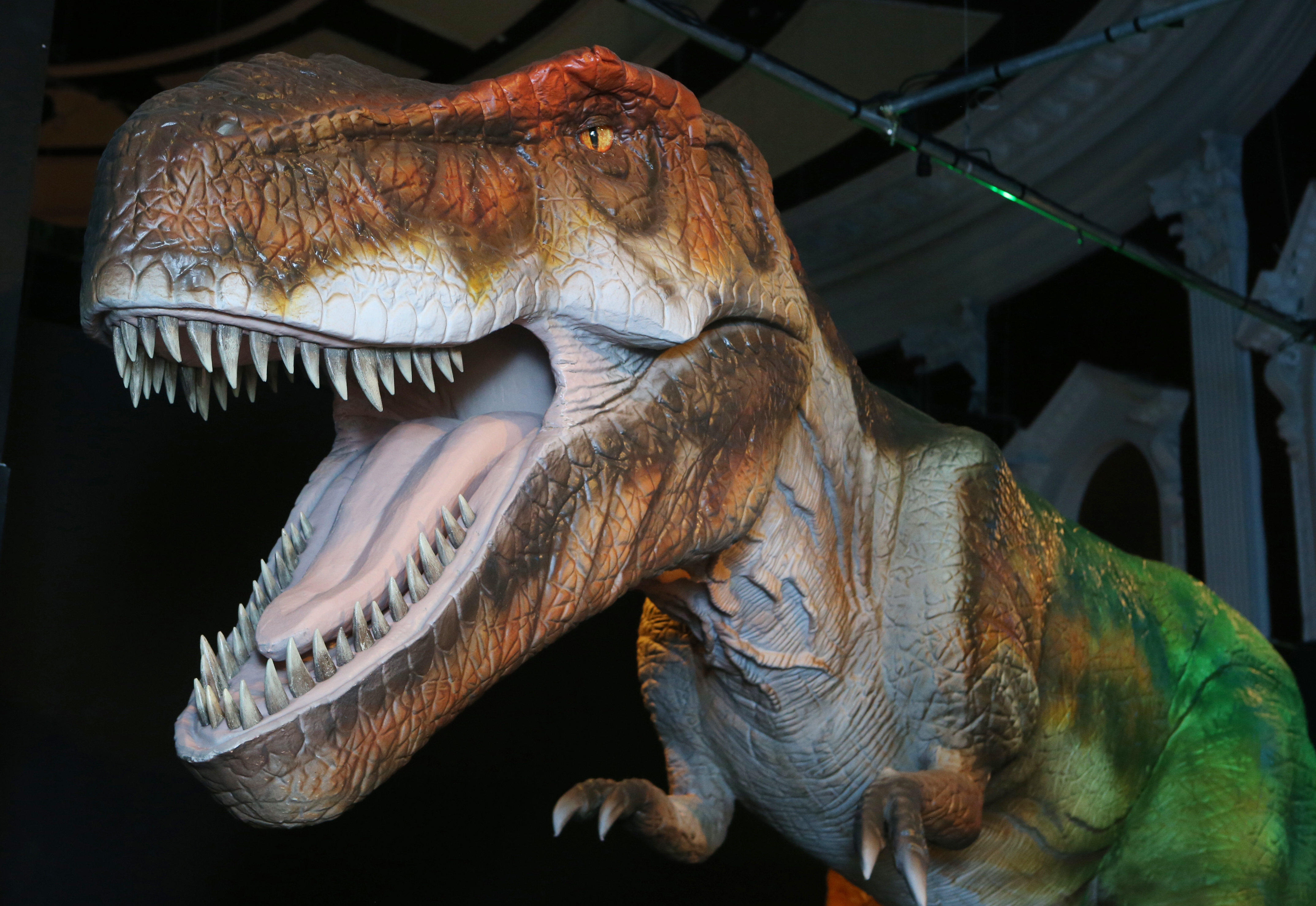 Confirmed: Fossilized T. Rex was expectant mother, Science