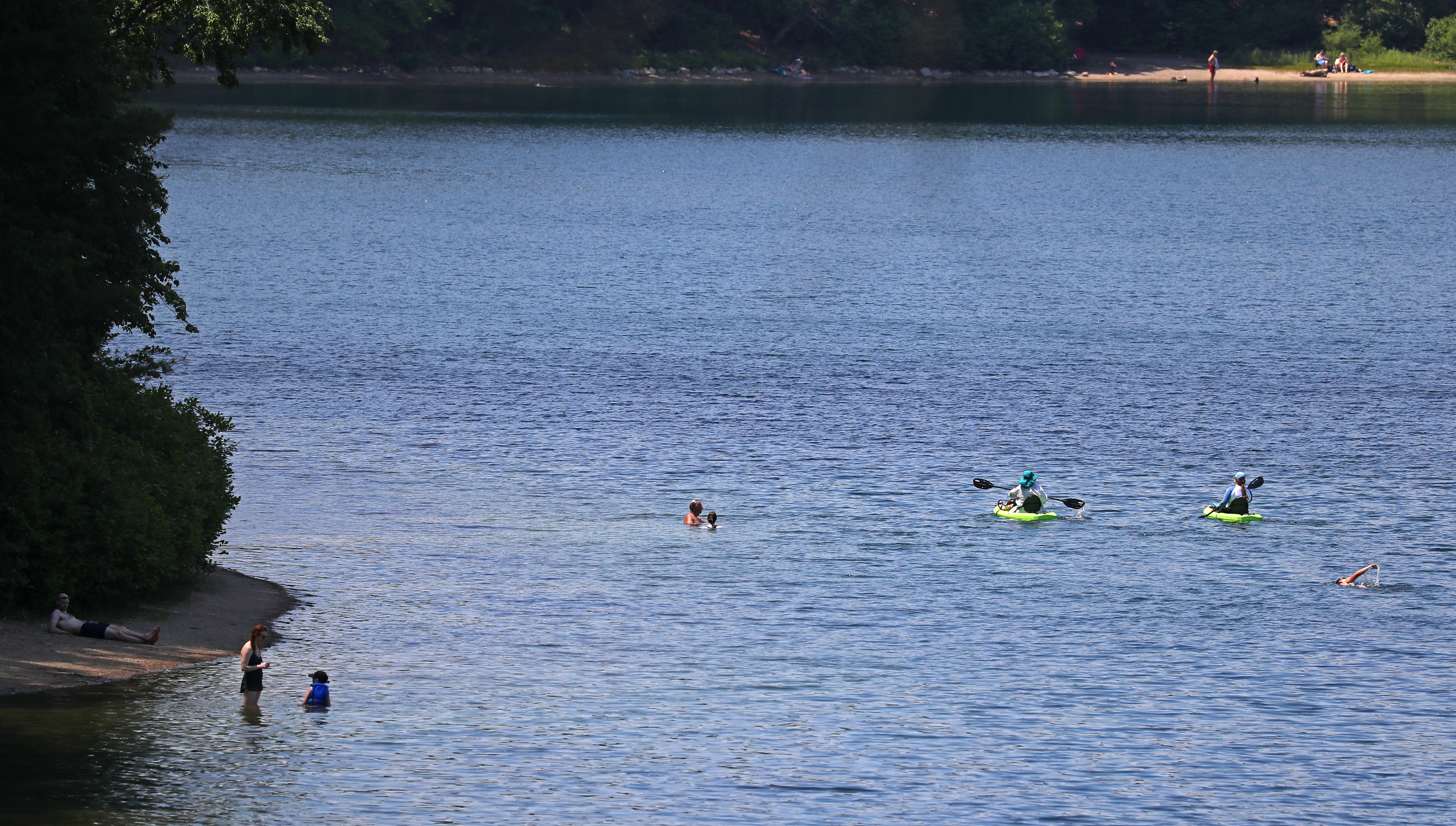 when Julimar Avila was looking for a place to swim, she reluctantly turned to Walden Pond.