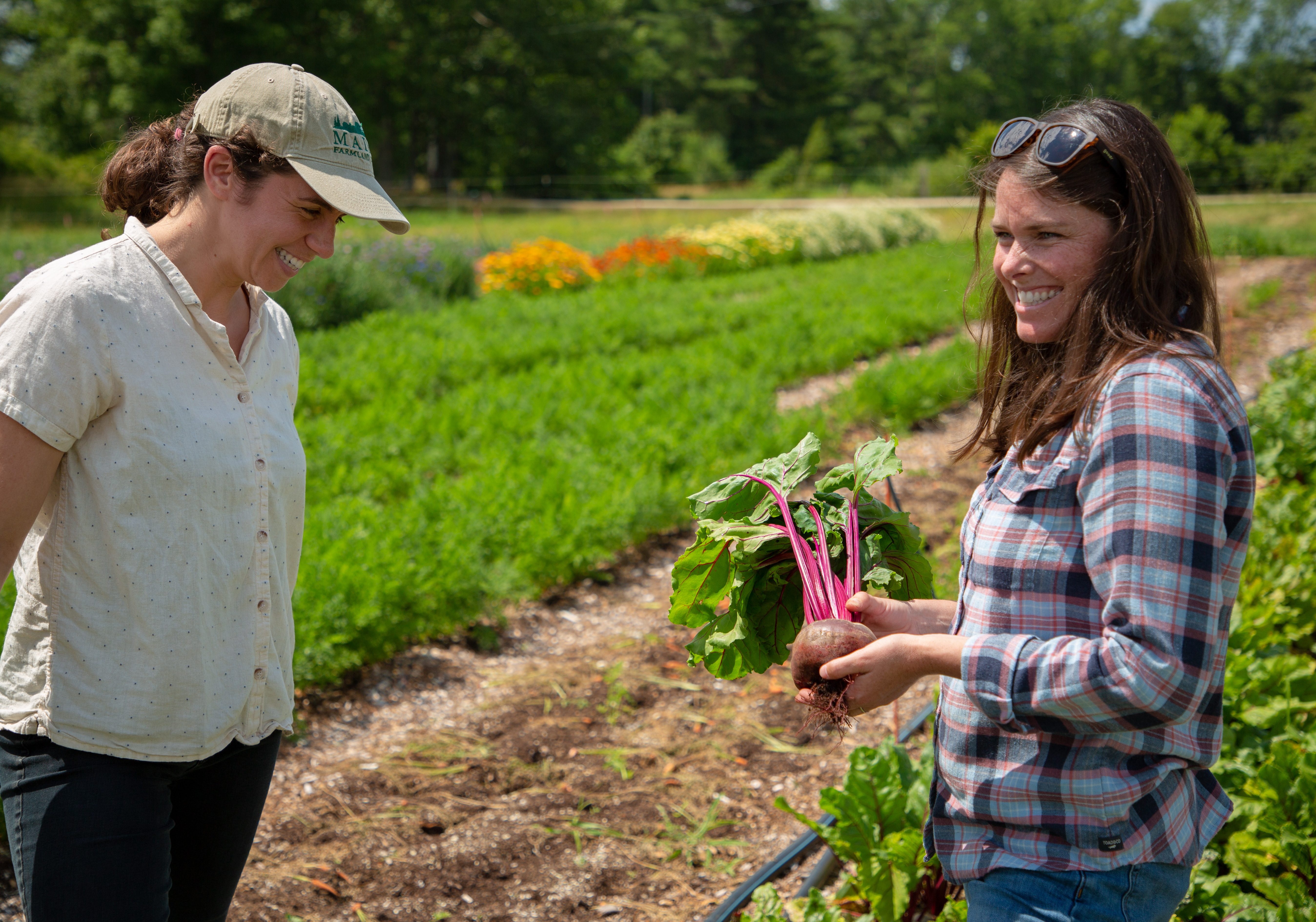 Garden Planning - Maine Organic Farmers and Gardeners