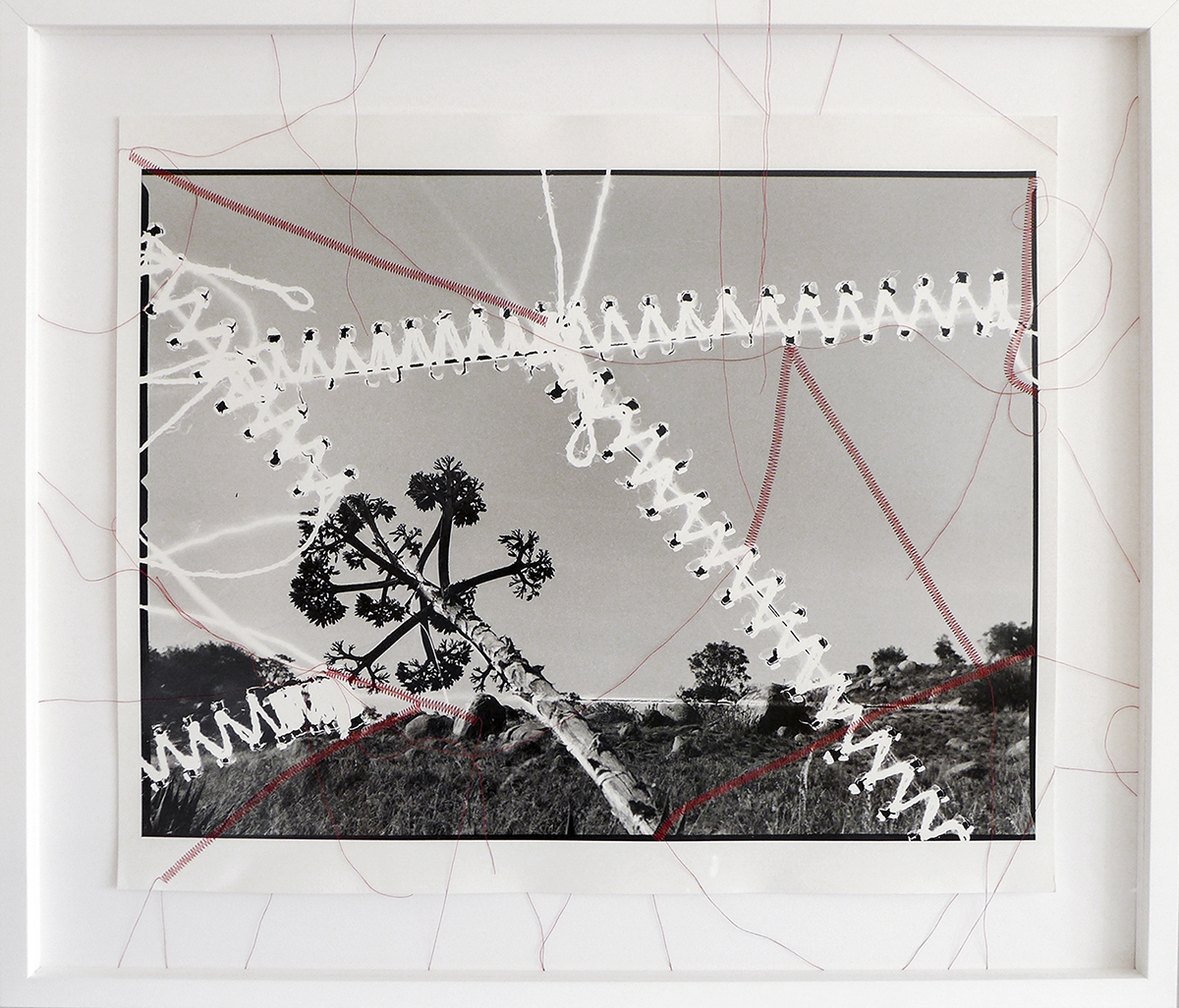 Odette England's "Red #8," from the series "In the Black, In the Red," 2020, unique gelatin silver print from sewn negative, over-sewn with red thread.