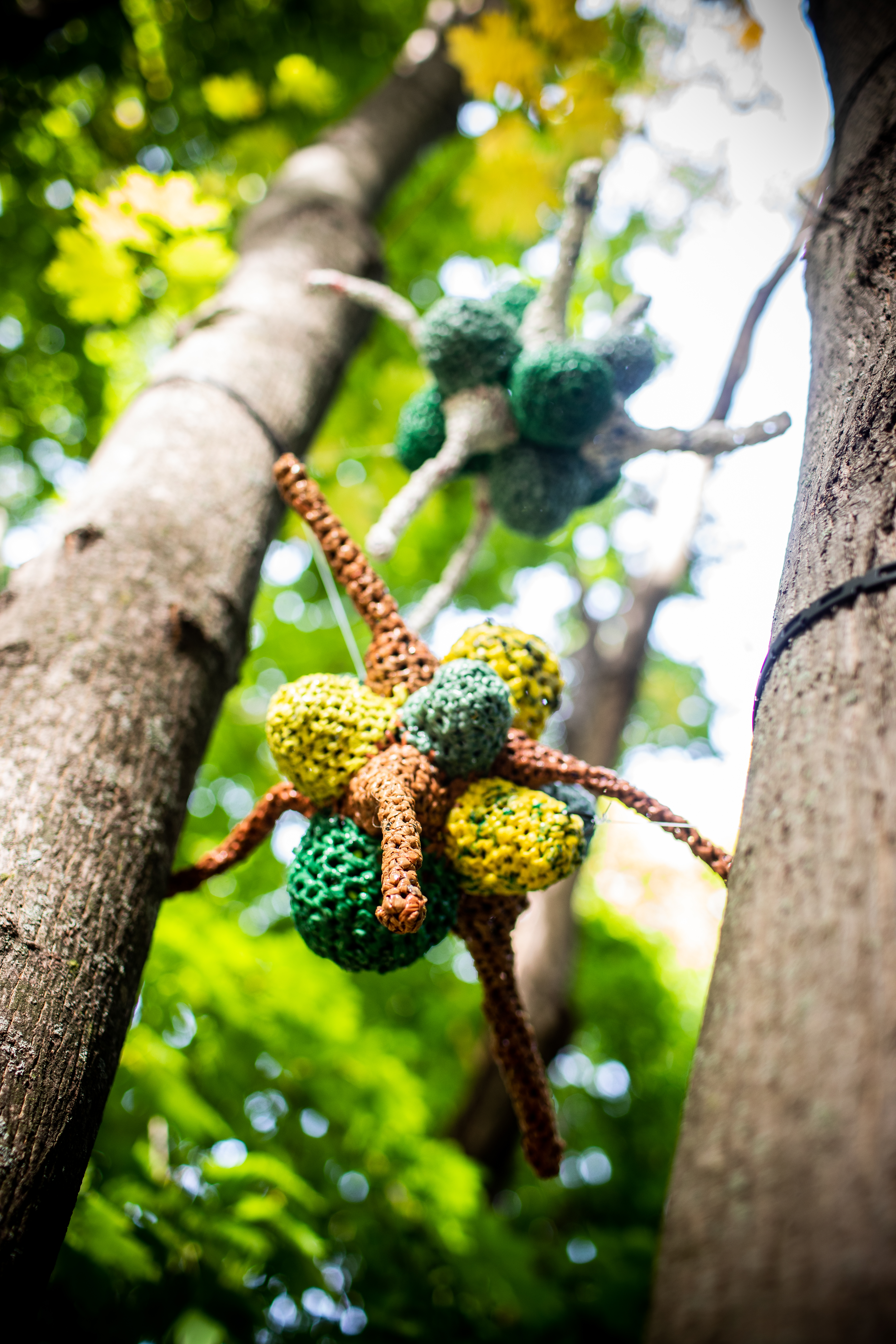 A view of Michelle Lougee's installation in Arlington.
