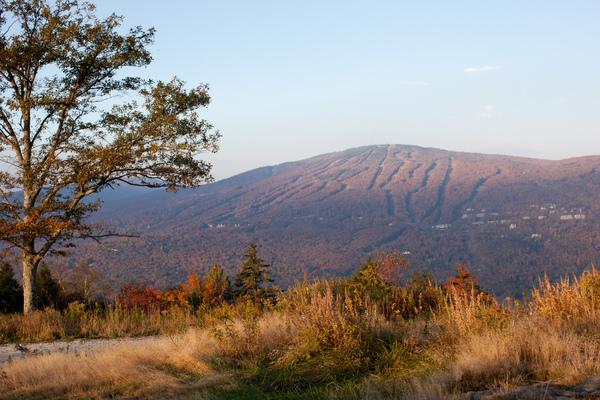 Ride the chairlift at Okemo Mountain Resort to the summit and meander the trails.