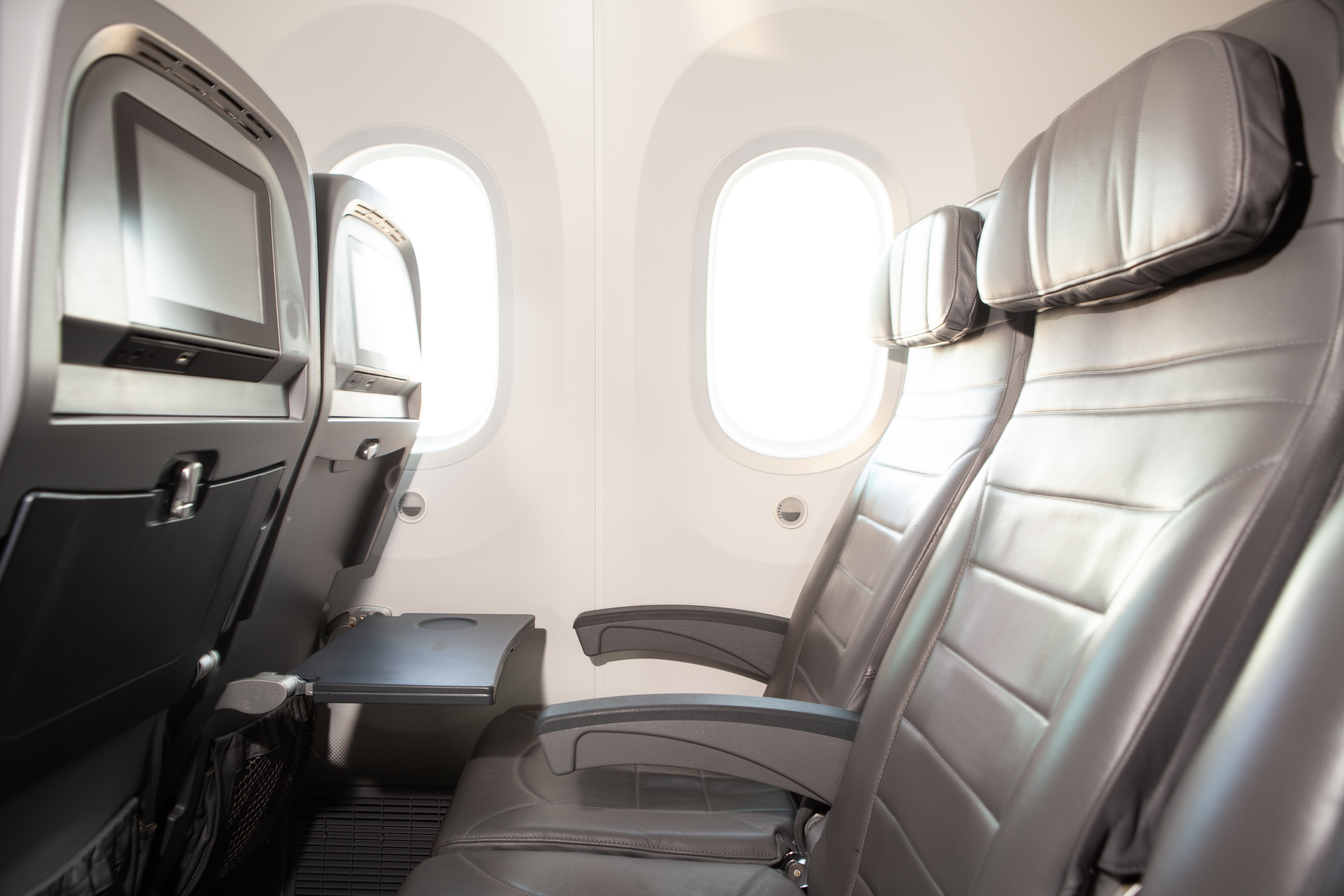 Flight attendant shares unusual item passengers steal from plane as  'souvenir'- 'serious!', Travel News, Travel