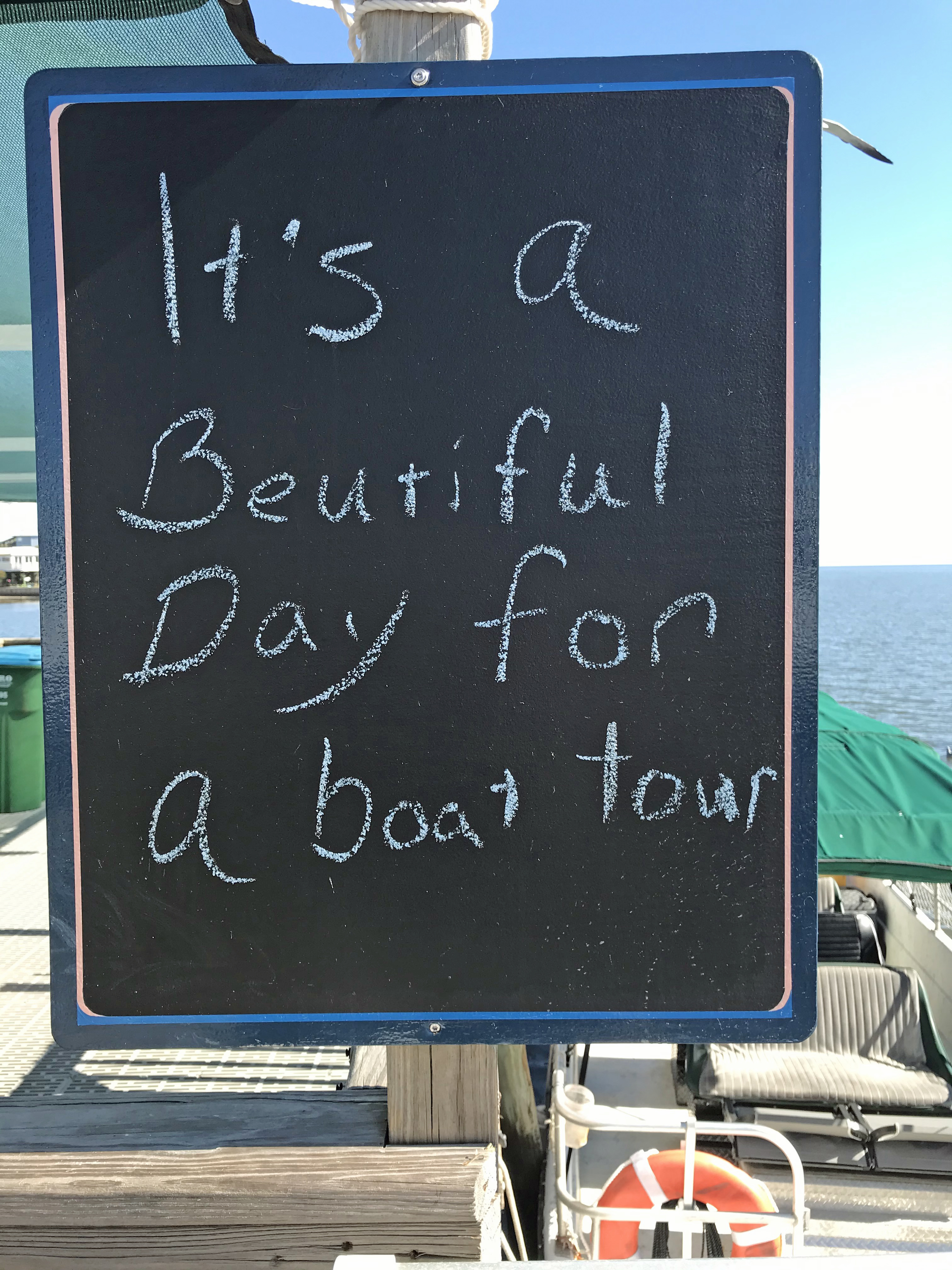A boat cruise from Cedar Key will take you into a watery world of bayous and bays, and places with cool names like Atsena Otie and Snake Key.