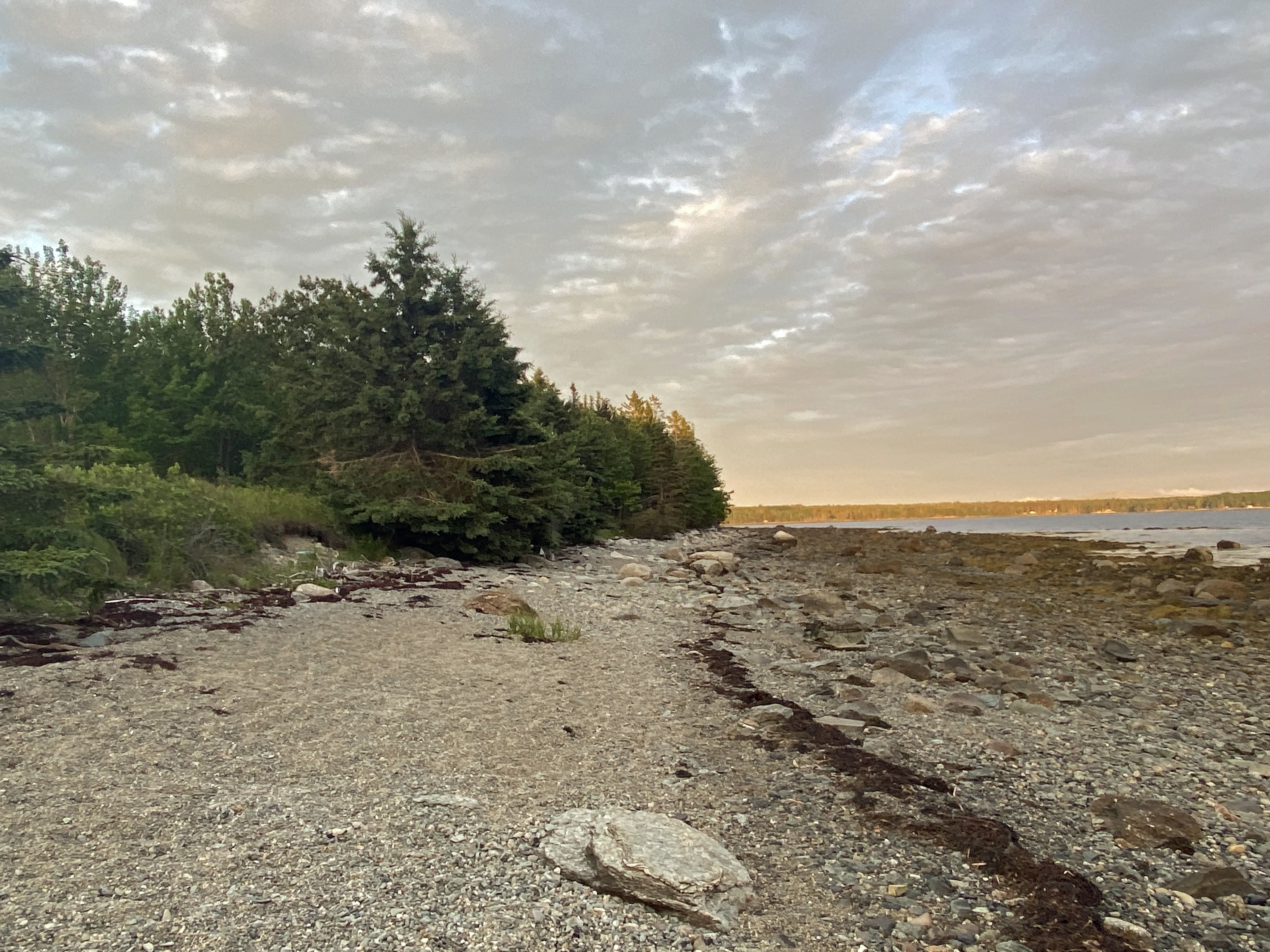 Under Canvas Acadia overlooks Patton Bay and the Union River; plummy Downeast Maine real estate, for sure.