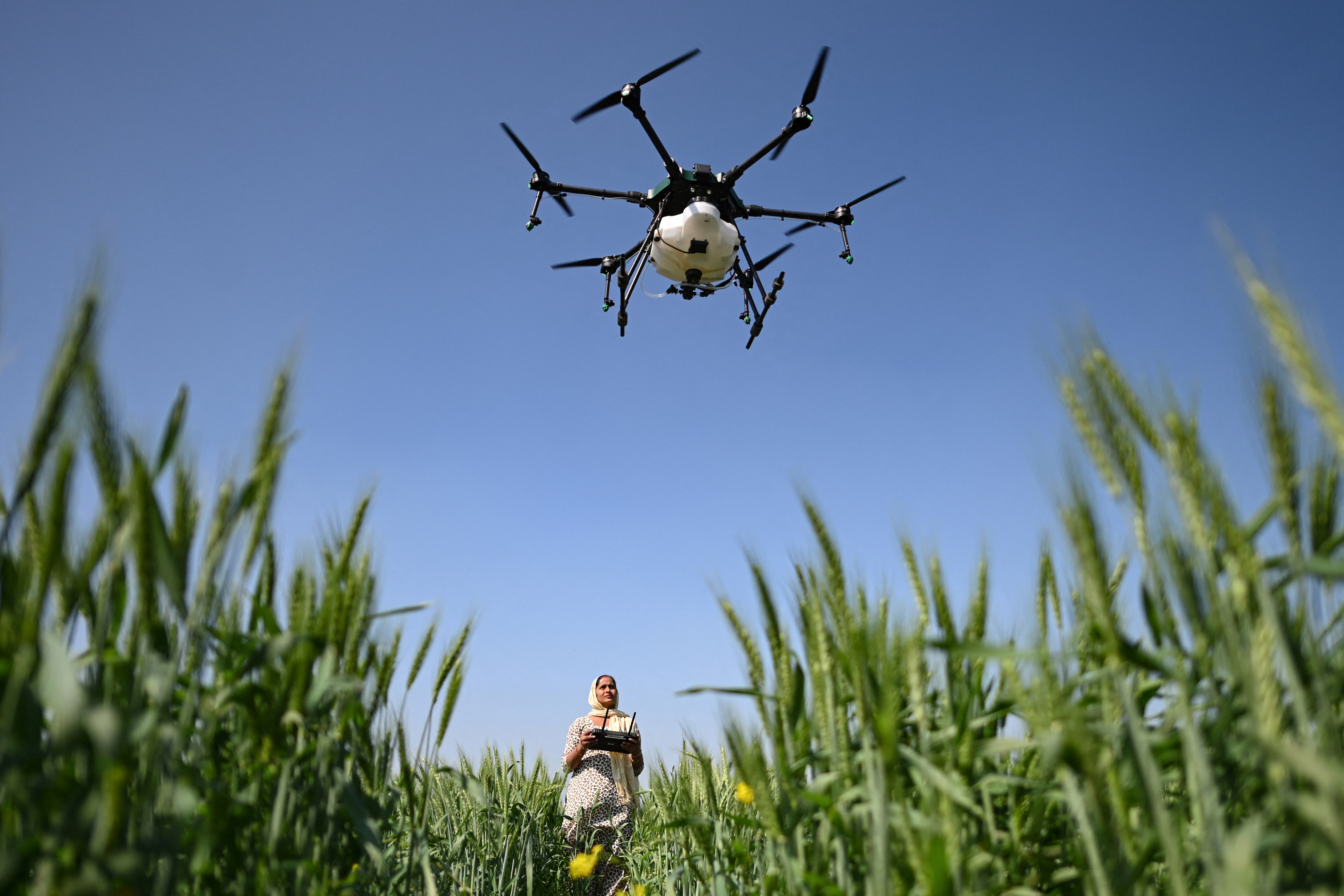 Unlocking the Buzz: The Future of Bee Drones in Agriculture - Future Developments and Research