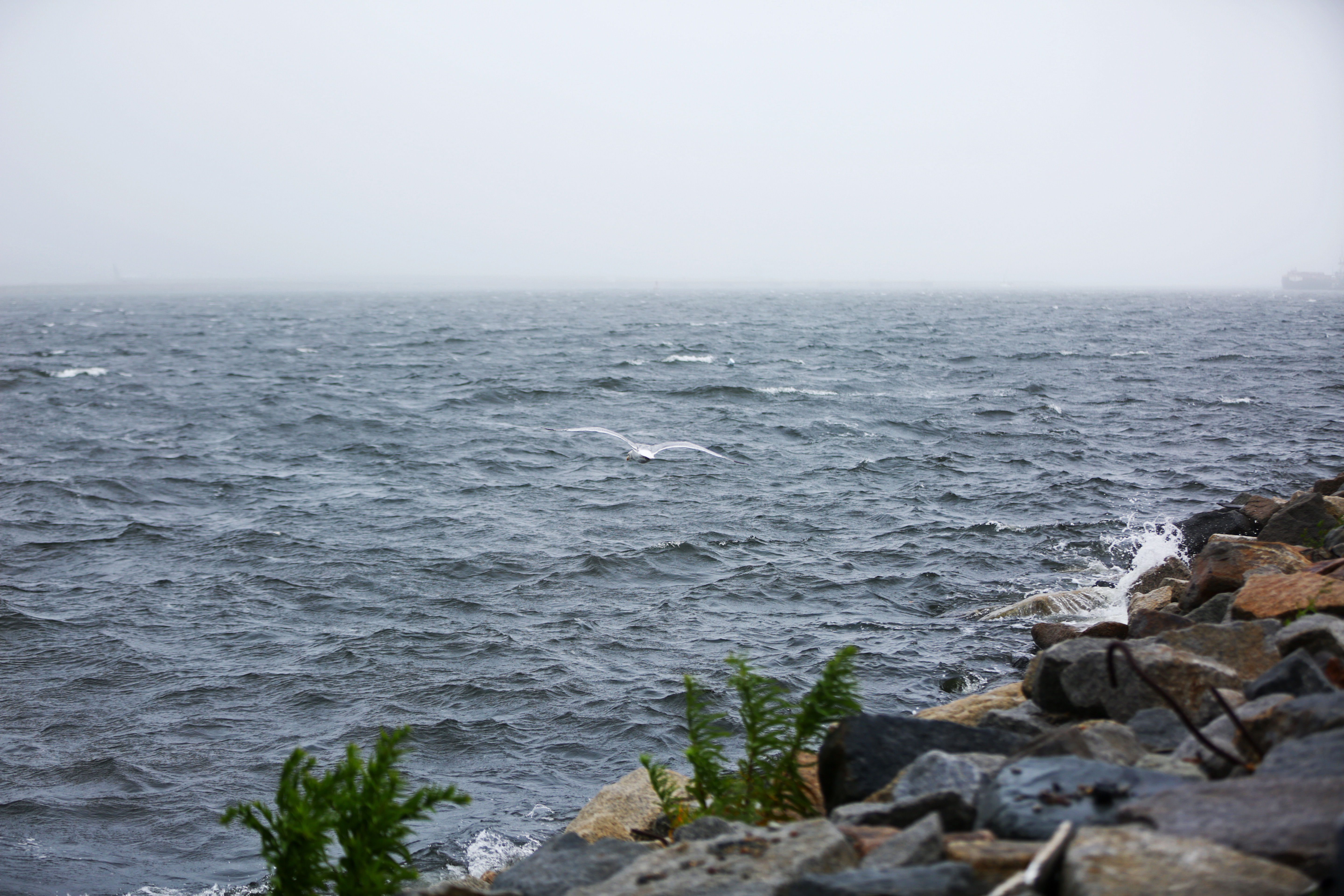 Rough seas along Shoreline Road at Shellfish Way during Tropical Storm Henri.