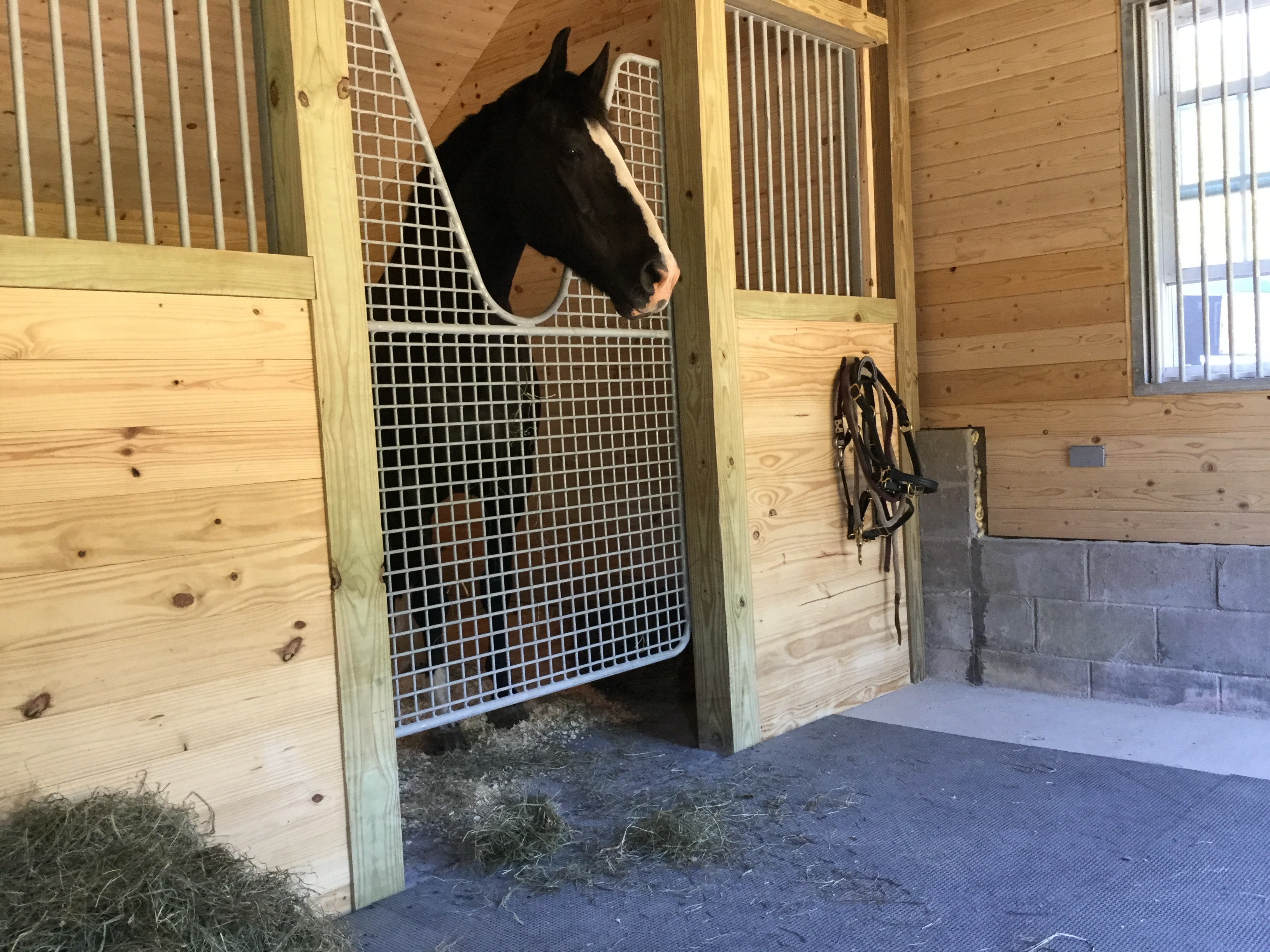 Equestrian Mudrooms: Design Inspiration - STABLE STYLE